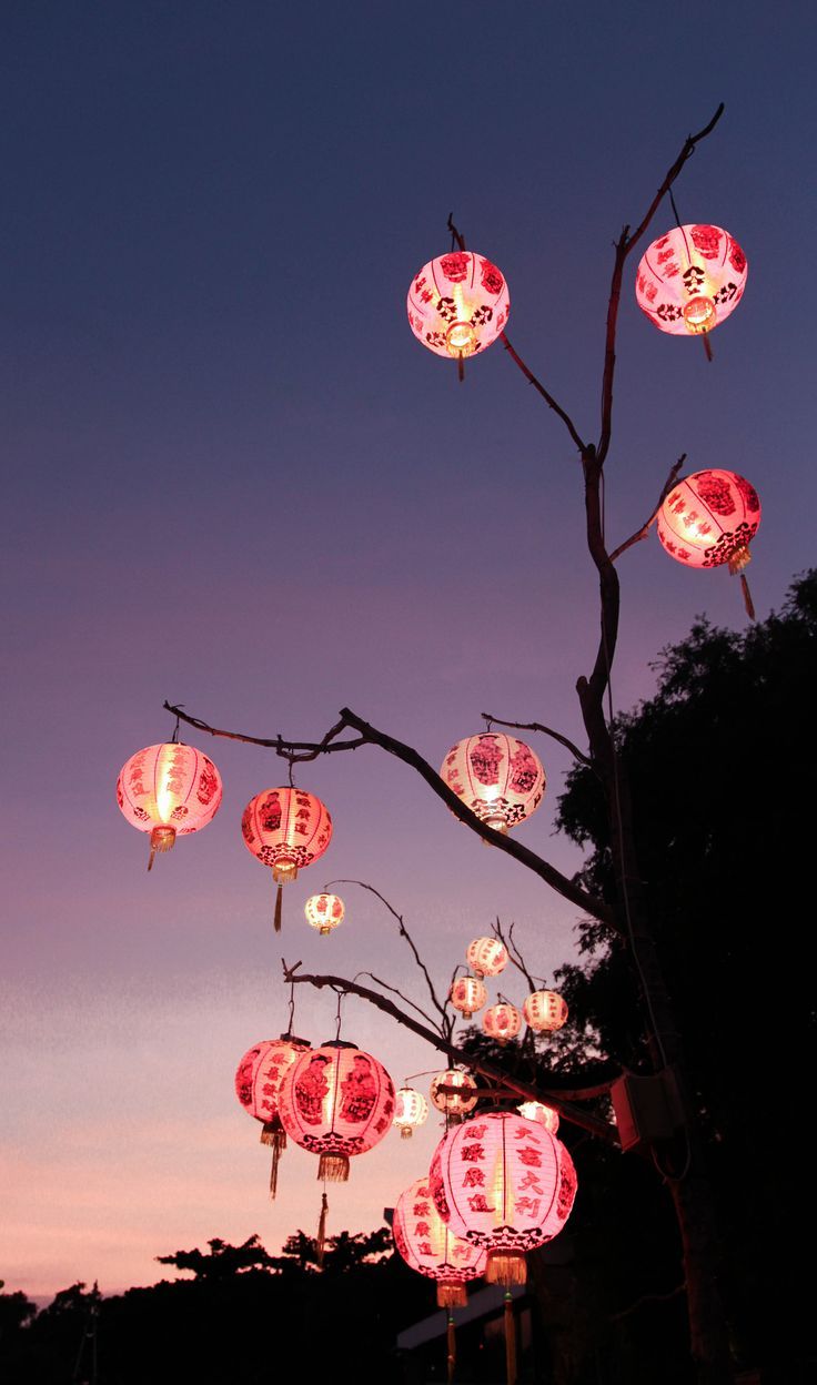 Laternen, Rote Lampions, Baum, Abendhimmel, Asiatisch, HD, Handy-Hintergrund im Hochformat