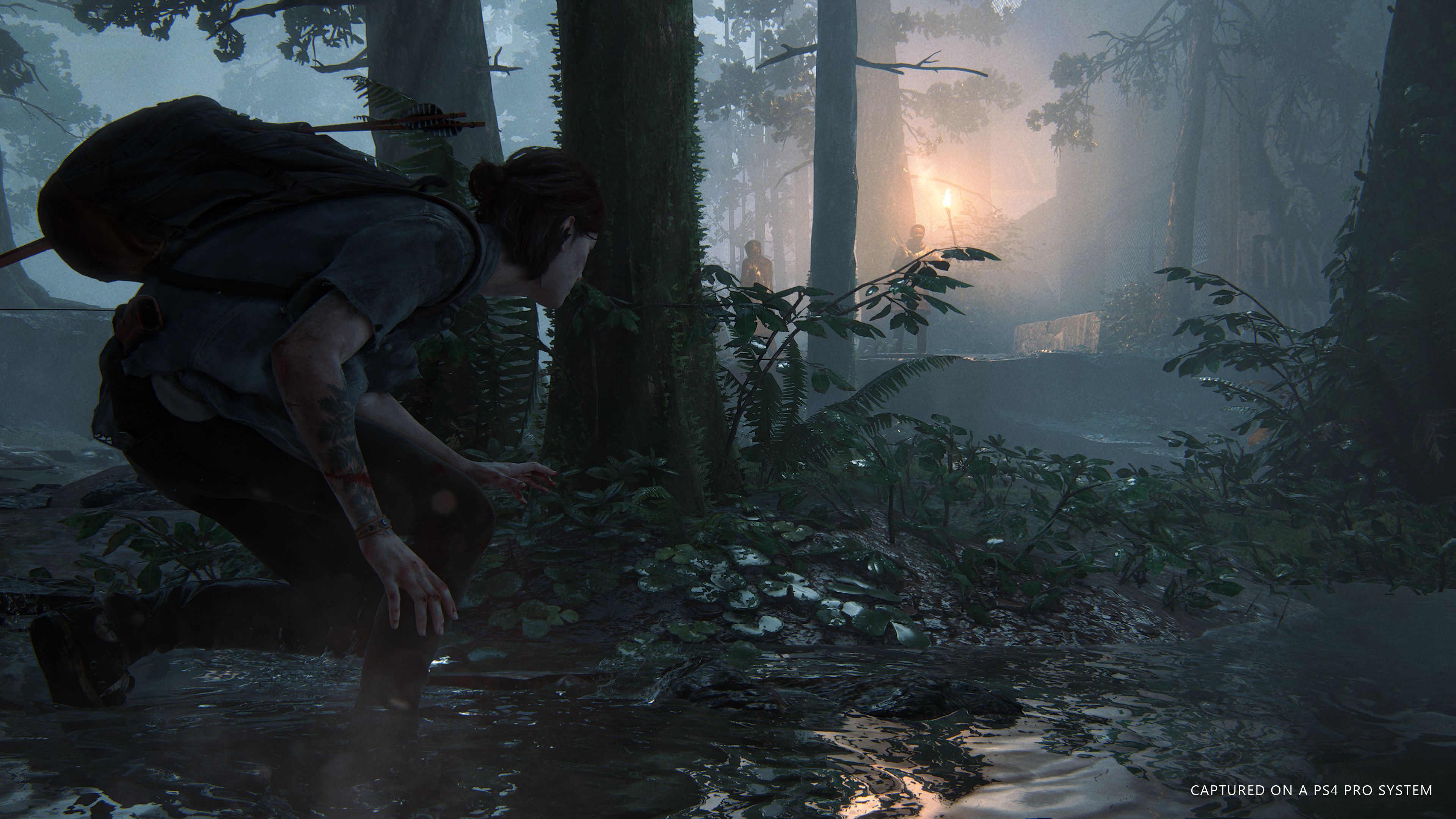Ellie, The Last of Us Part II, Wald, Schleichen, Nebel, 4K, Desktop-Hintergrund für Windows