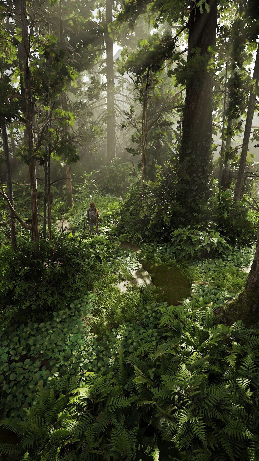 The Last of Us, Dschungel, Sonnenstrahlen, Grün, Vegetation, 1080x1920, Handy-Hintergrund