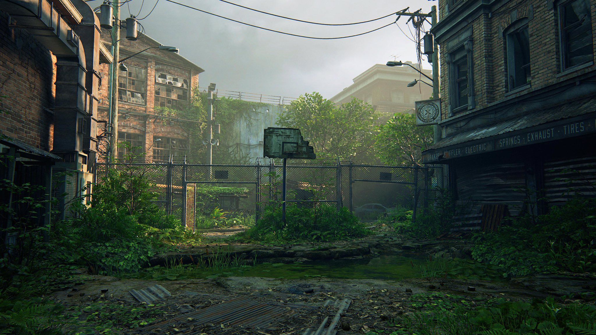 The Last of Us, Verlassene Stadt, Basketballkorb, Überwucherung, Postapokalypse, Full-HD-Hintergrundbild