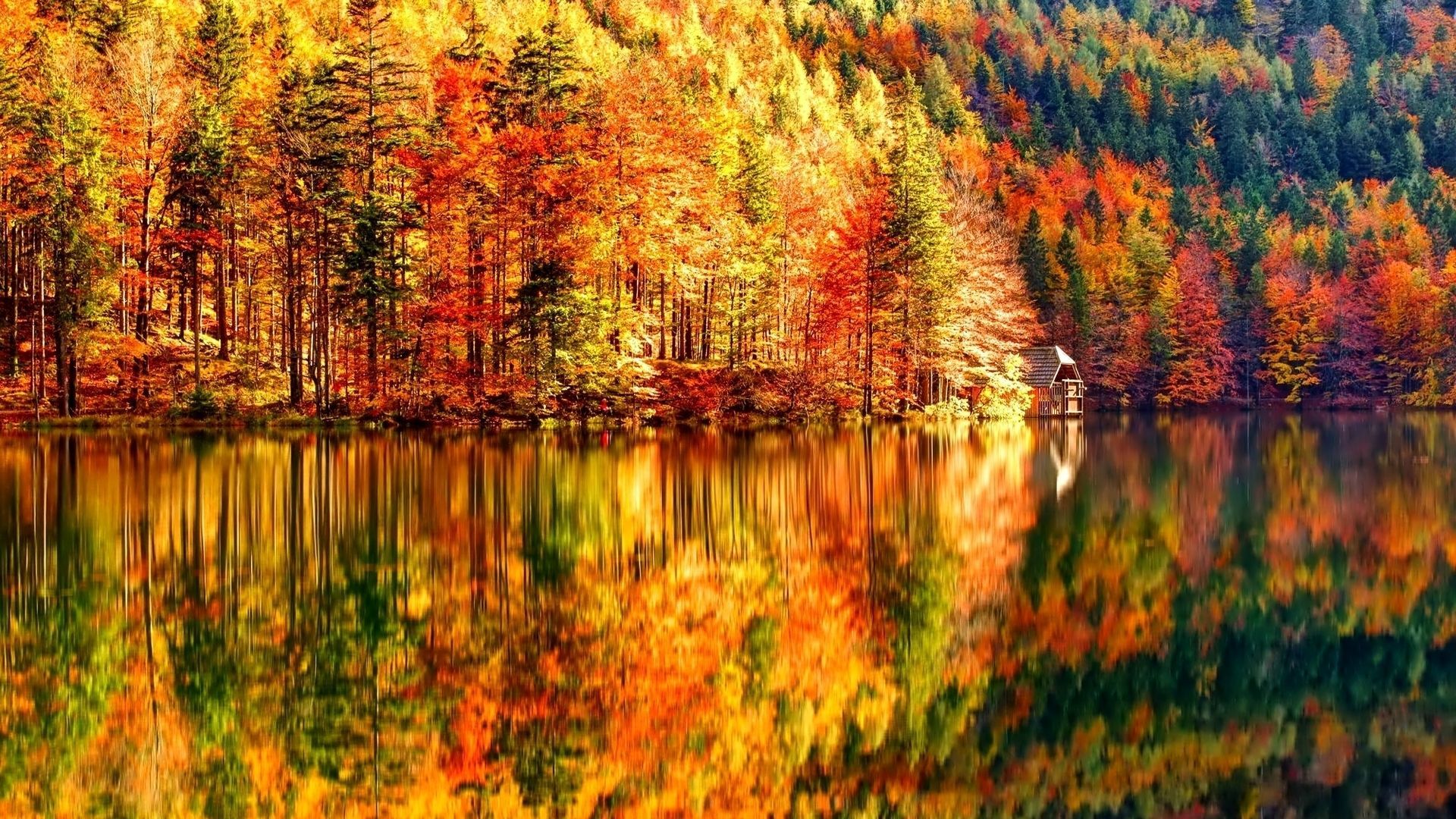 See, Spiegelung, Bunter Wald, Ufer, Leuchtende Farben, 16:9, Full-HD-Hintergrundbild für den Desktop