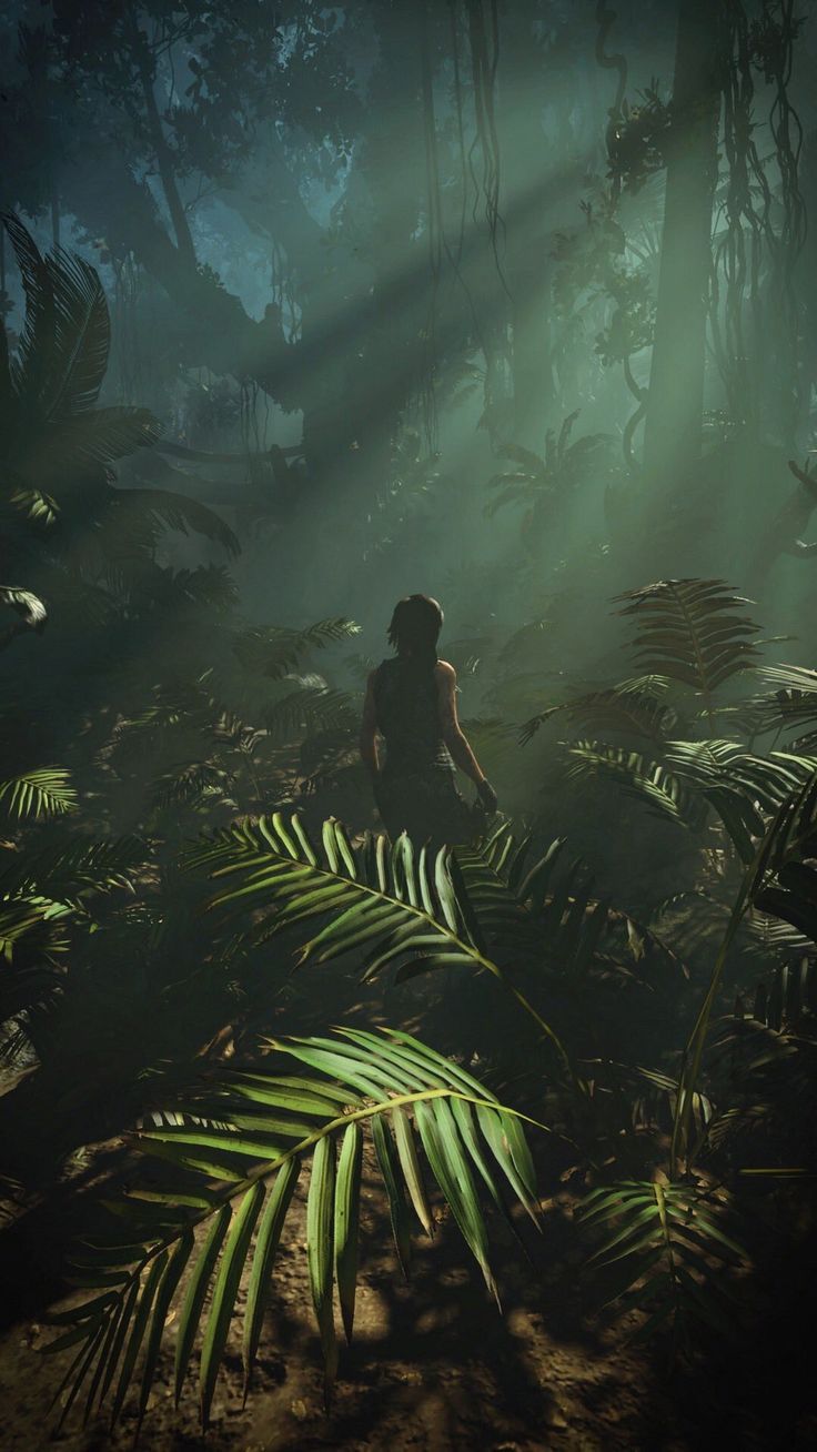 Lara Croft, Tomb Raider, Dschungel, Lichtstrahlen, Grün, HD, iPhone-Hintergrundbild