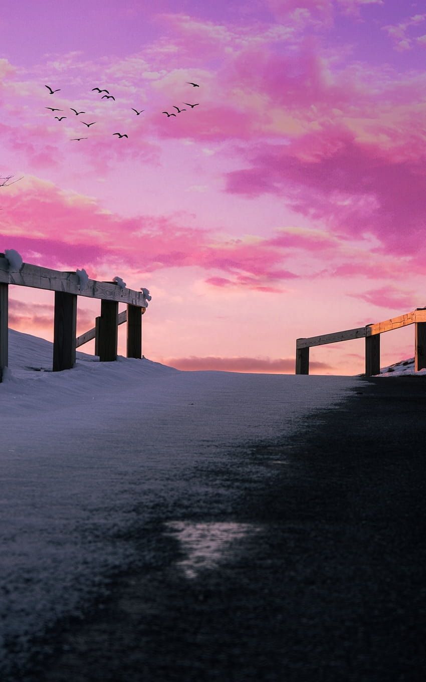 Steg, Rosa Himmel, Vögel, Dämmerung, HD, Hintergrundbild fürs Handy