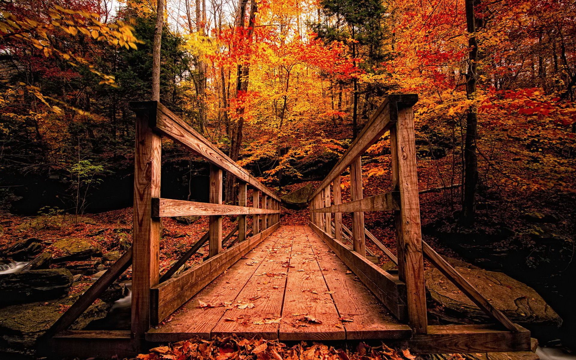 Holzbrücke, Herbstwald, Steg, Orange, Wald, 16:10, Full-HD-Hintergrundbild für den Desktop