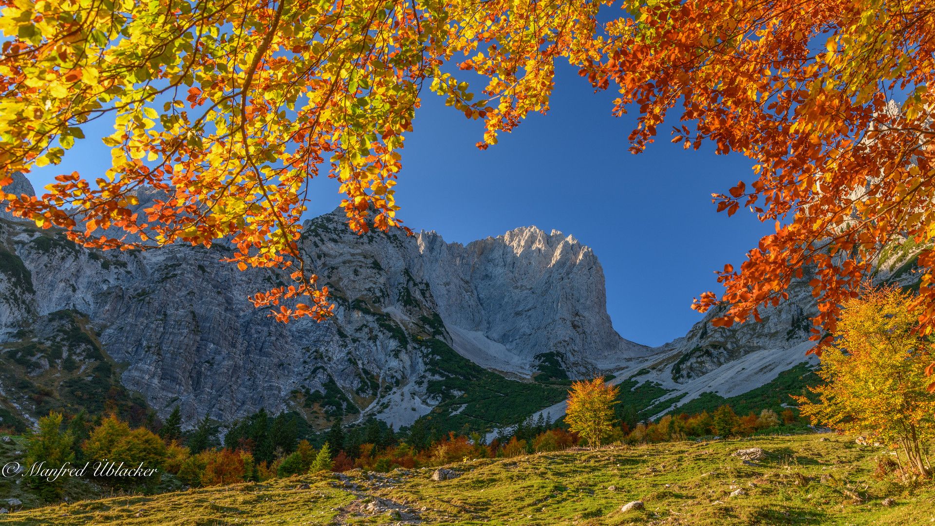 Berge, Felswände, Herbstlaub, Blauer Himmel, Alpen, Full HD, Desktop-Hintergrund für Windows