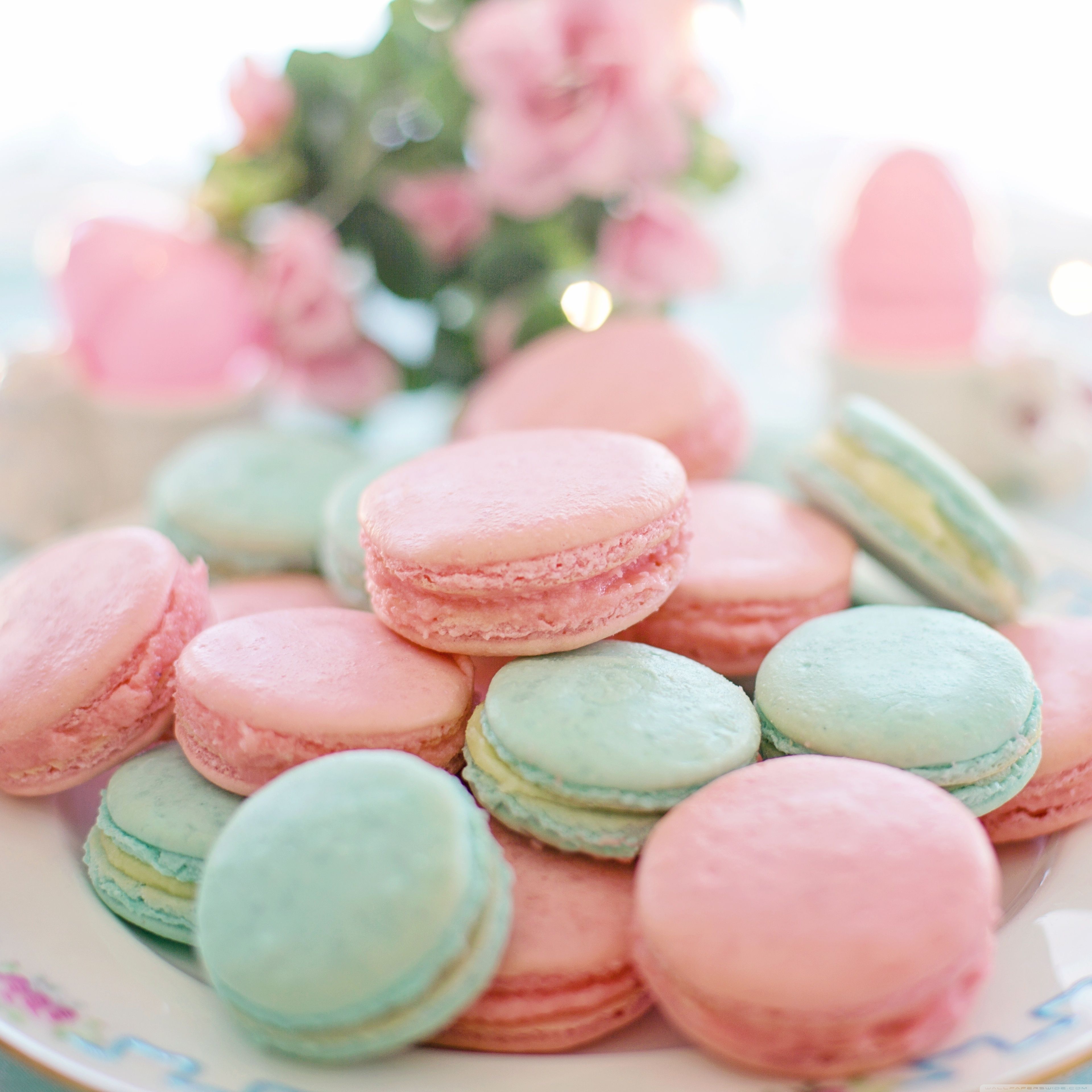 Macarons, Gebäck, Pastellfarben, Rosa, Mintgrün, 4K, Hintergrundbild fürs Tablet