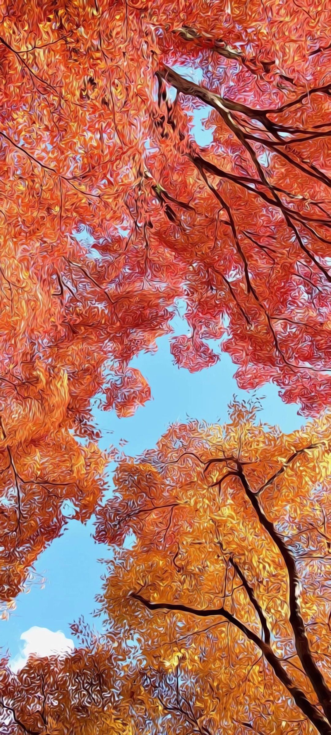 Baumkronen, Froschperspektive, Blauer Himmel, Orange Laub, Full HD, iPhone-Hintergrundbild