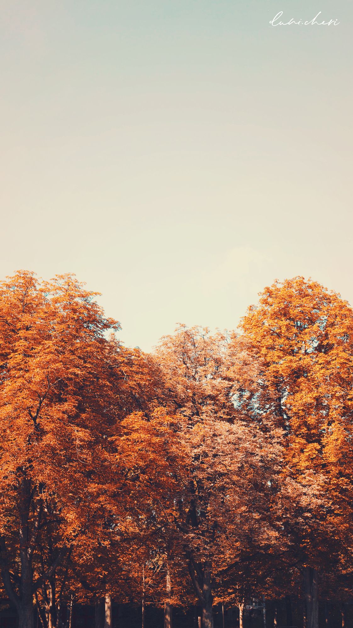 Herbstbäume, Himmel, Orange, Vintage, Minimalistisch, Full HD, Handy-Hintergrund im Hochformat
