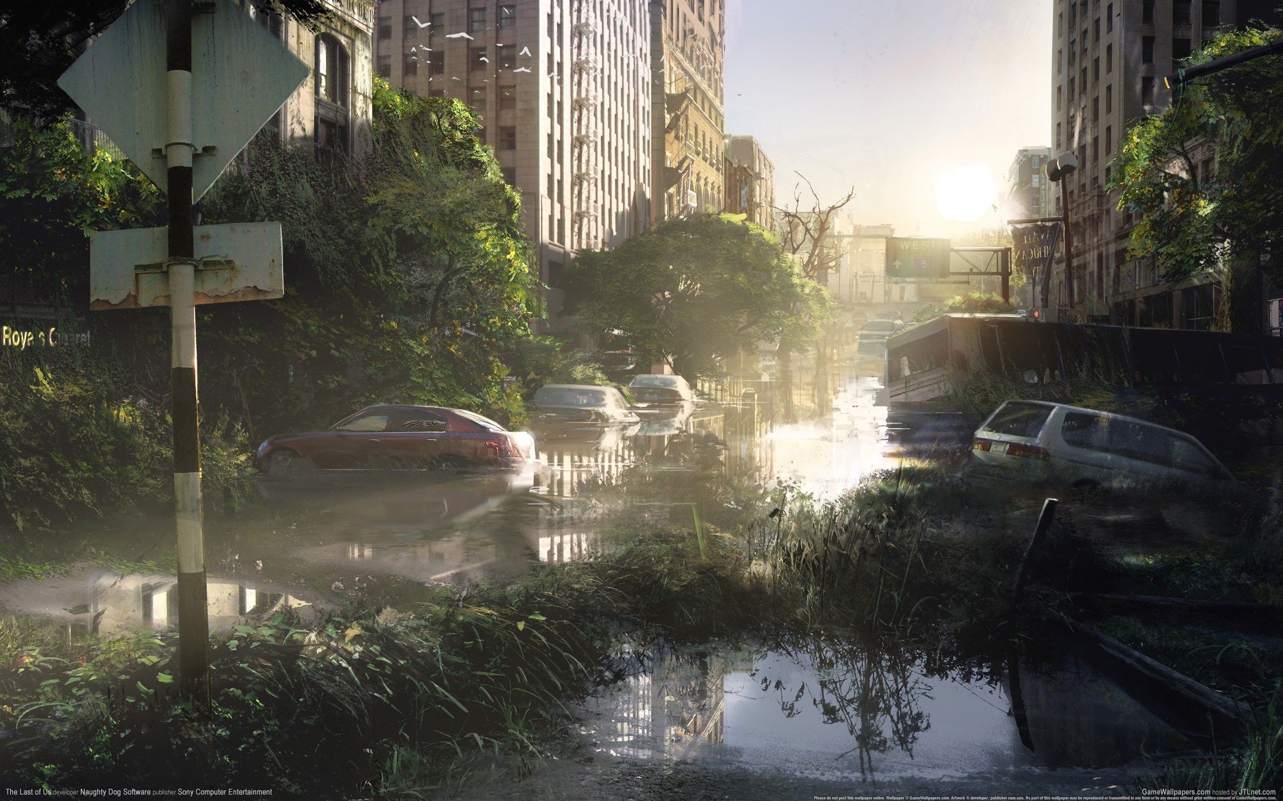 The Last of Us, Überflutete Stadt, Postapokalypse, Überwucherte Straße, Sonnenlicht, 2K-PC-Hintergrundbild