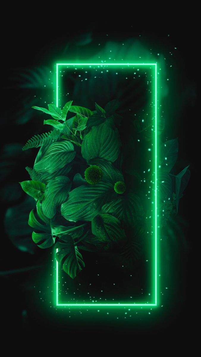 Neonrahmen, Grün, Pflanzen, Schwarzer Hintergrund, Minimalistisch, Sperrbildschirm fürs iPhone