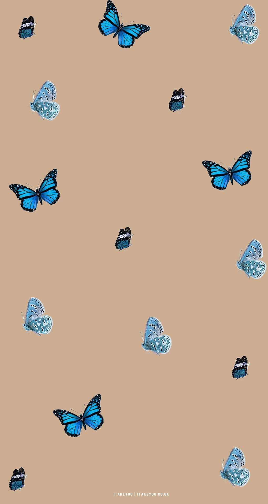 Schmetterlinge, Blaue Schmetterlinge, Beige, Muster, HD, Hintergrundbild fürs Handy