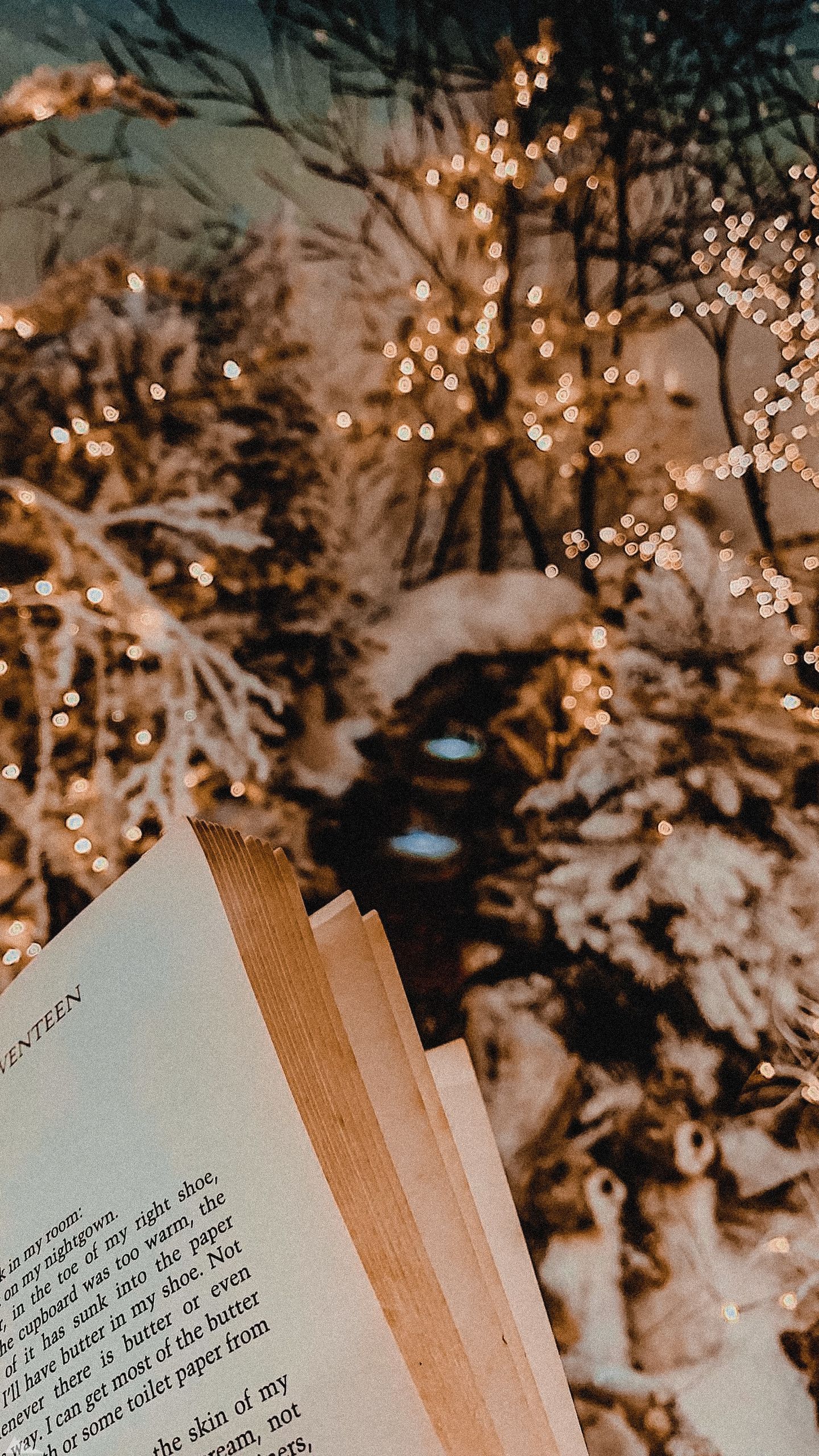 Buch, Lichterkette, Bokeh, Tannenzweige, Gemütlich, Goldtöne, QHD+, iPhone-Hintergrundbild