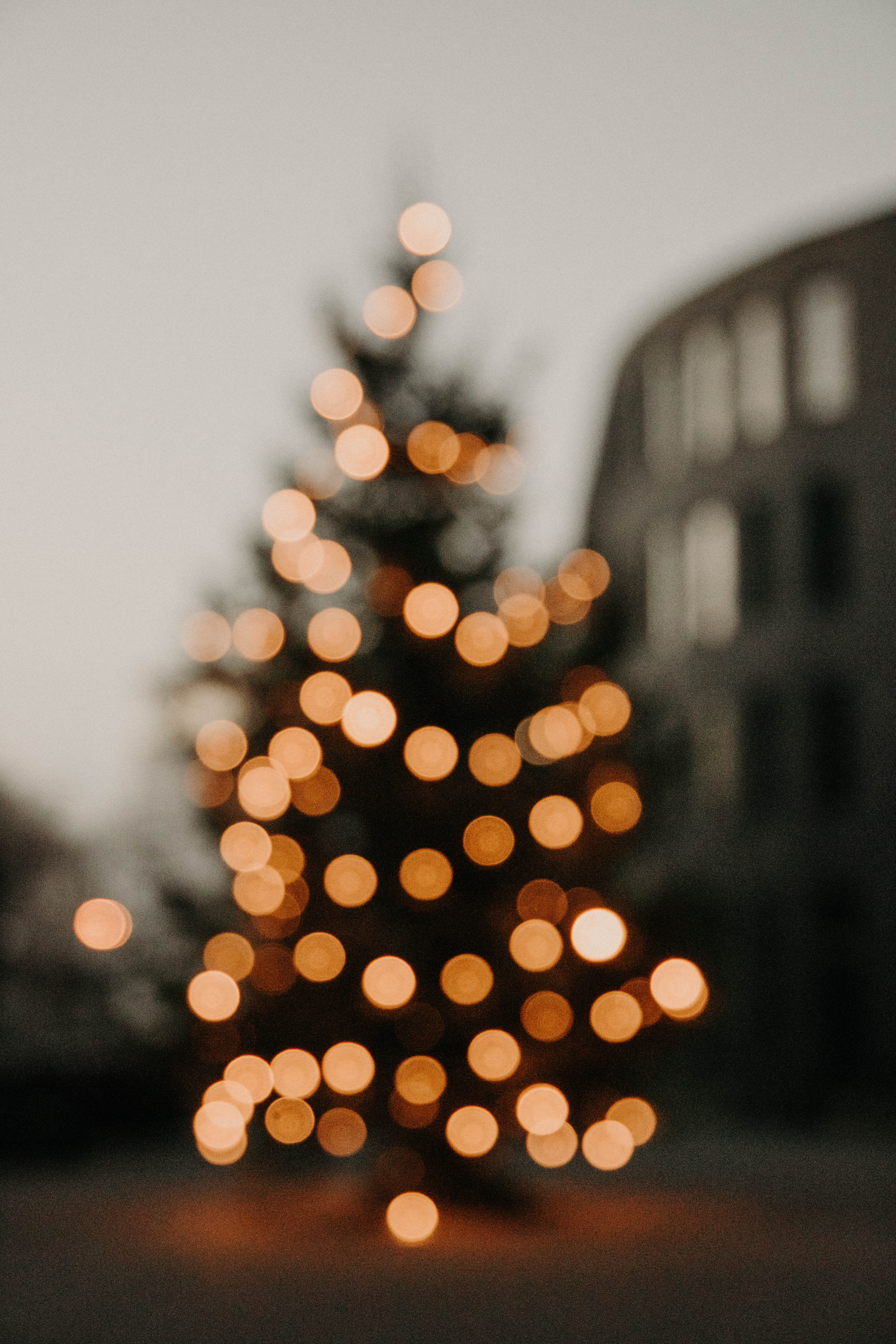 Weihnachtsbaum, Bokeh, Lichter, Unscharf, Stadt, QHD+, Handy-Hintergrund im Hochformat
