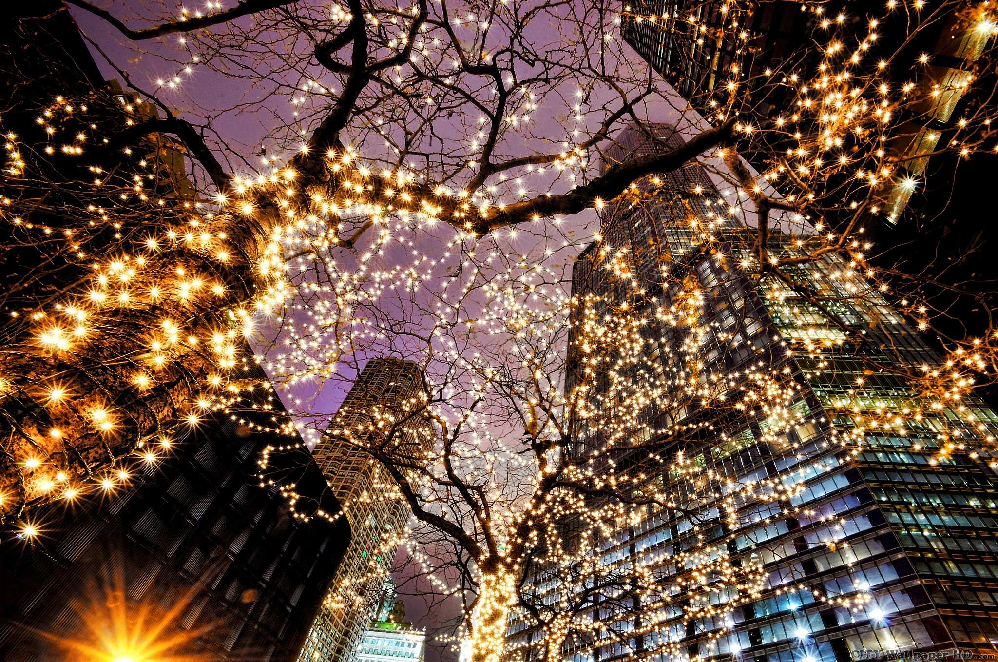 Lichterketten, Baum, Wolkenkratzer, Nacht, Froschperspektive, Stadt, Full HD, Laptop-Hintergrundbild