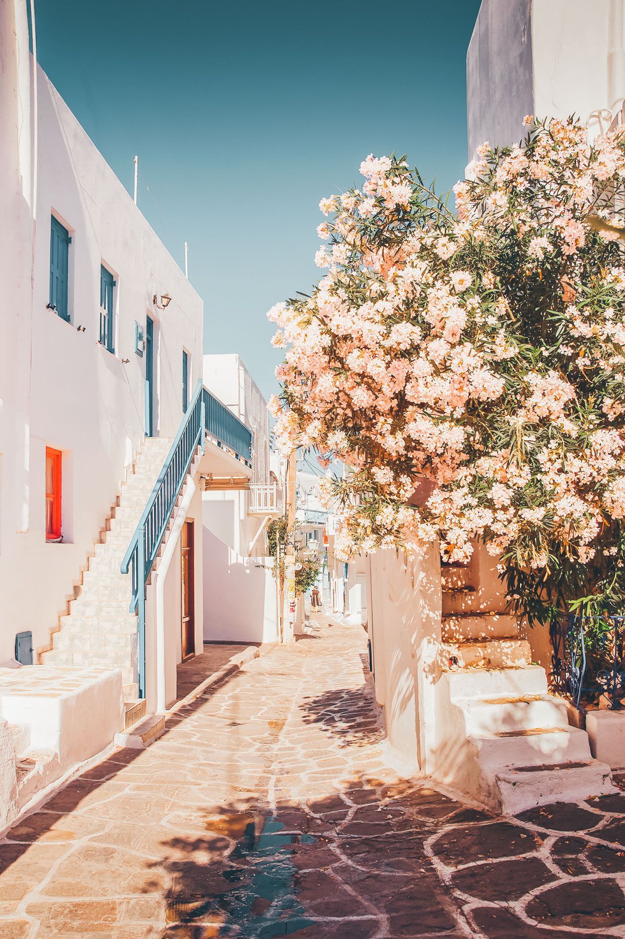 Gasse, Oleander, Weiße Häuser, Treppe, Kykladen, Full HD, Sperrbildschirm fürs iPhone