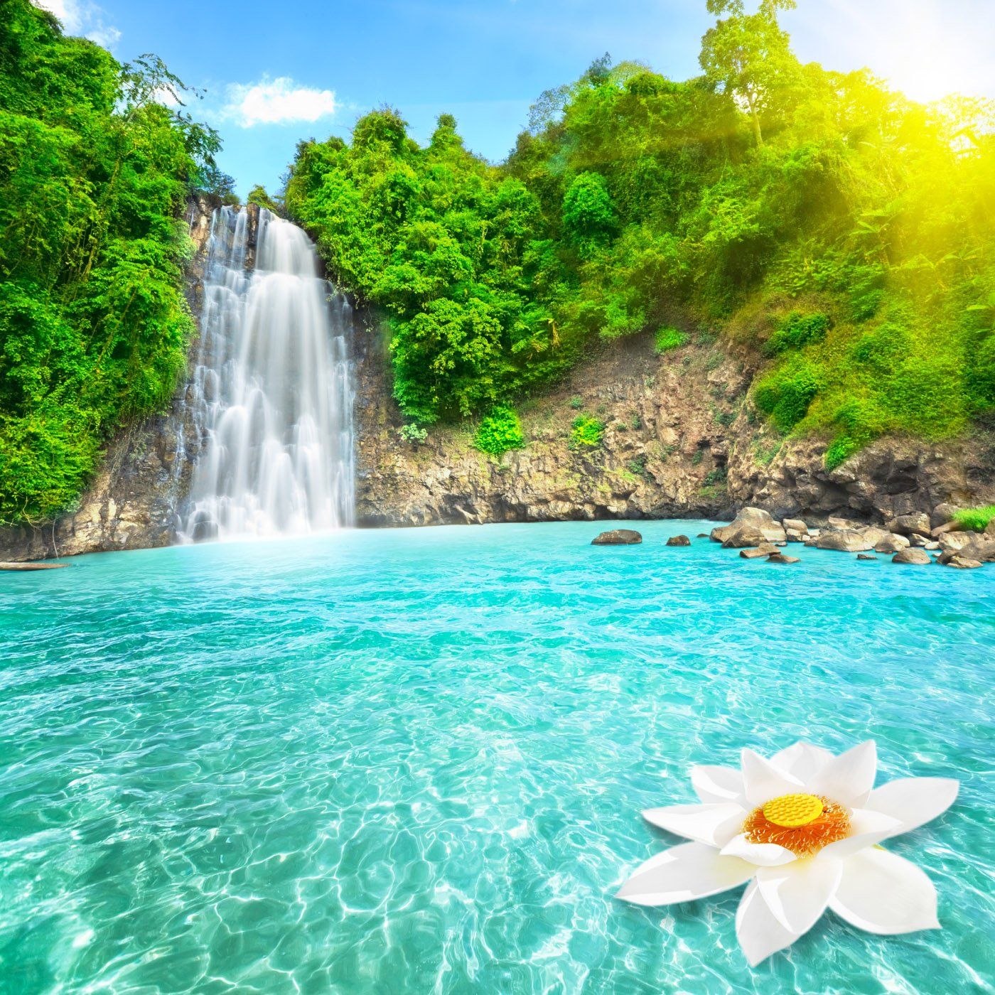 Wasserfall, Seerose, Türkises Wasser, Tropen, Dschungel, HD, Tablet-Hintergrund