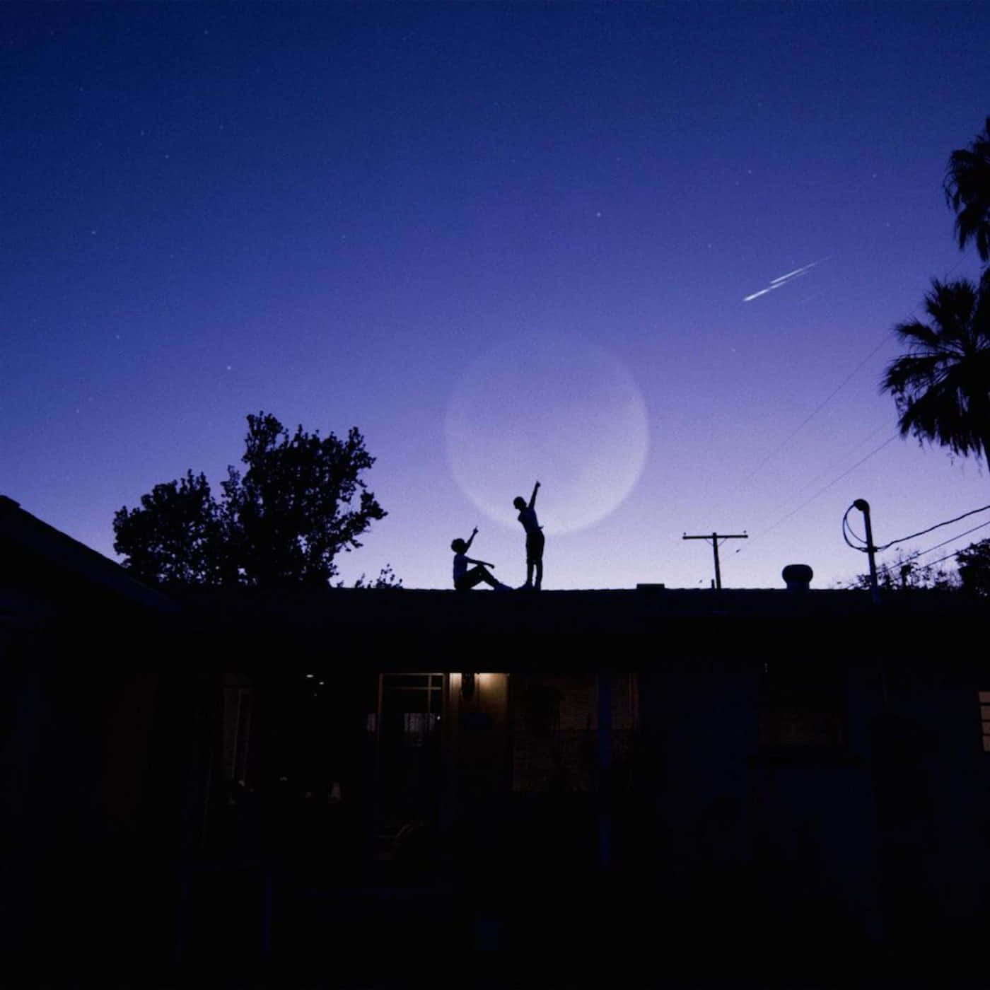 Silhouetten, Nachthimmel, Mond, Sternschnuppe, Palmen, Dämmerung, Hintergrundbild fürs Tablet