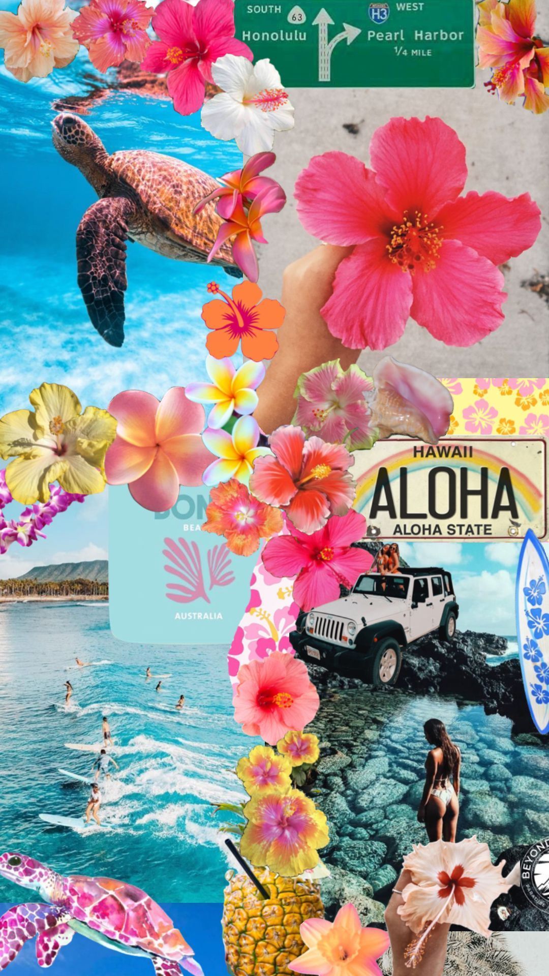 Collage, Aloha, Hibiskus, Meer, Tropisch, Sommer, Full HD, Sperrbildschirm fürs iPhone