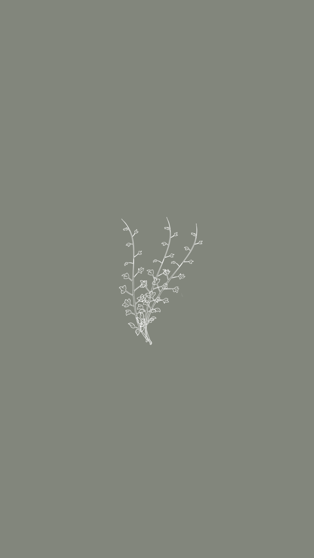 Minimalistisch, Zweig, Graugrüner Hintergrund, Pflanze, Full HD, Sperrbildschirm fürs iPhone