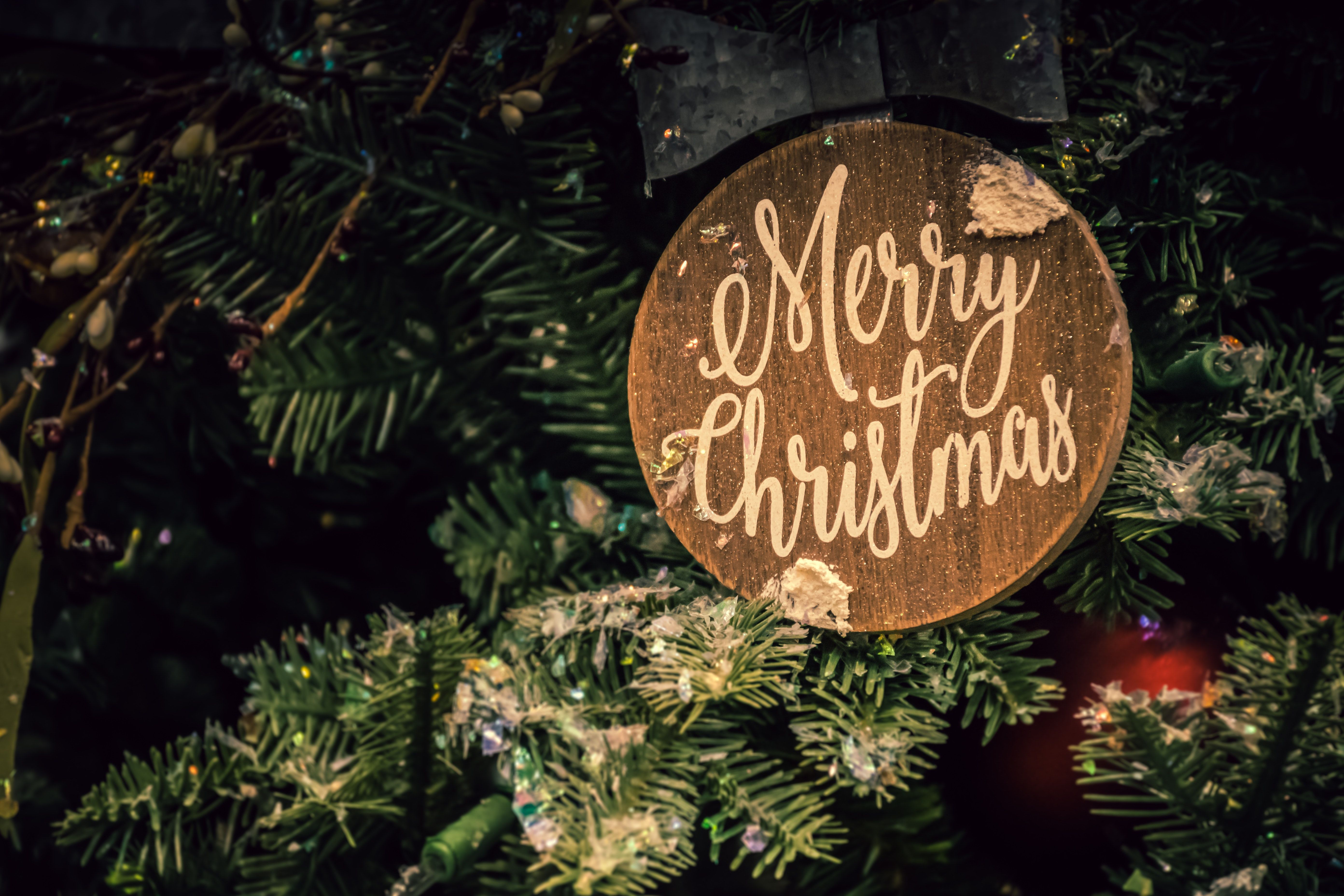 Merry Christmas, Holzschild, Tannenzweige, Weihnachten, Dunkelgrün, 5K, Laptop-Hintergrundbild
