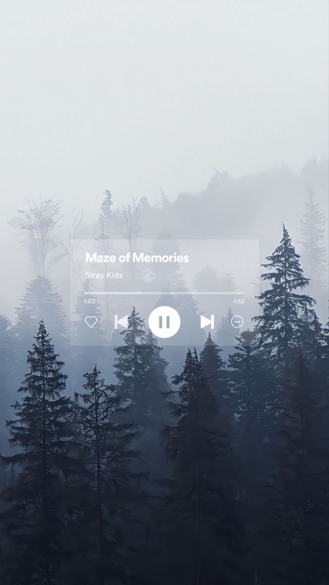Nadelwald, Nebel, Musik-Player, Grau, Tannen, Hintergrundbild für iPhone und Android
