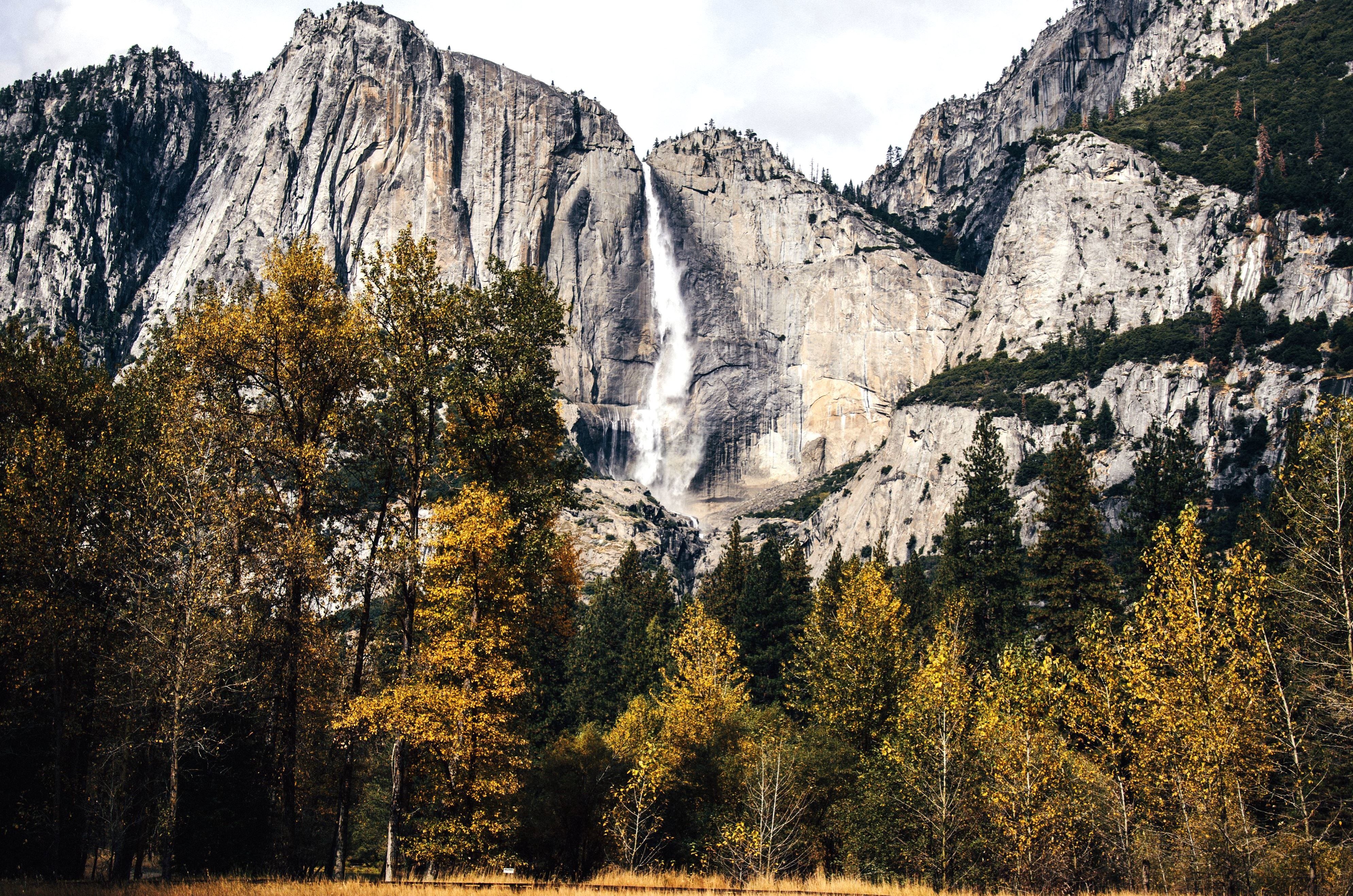 Yosemite Falls, Yosemite-Nationalpark, Kalifornien, Granitfelsen, Wald, 4K, Windows-Hintergrundbild