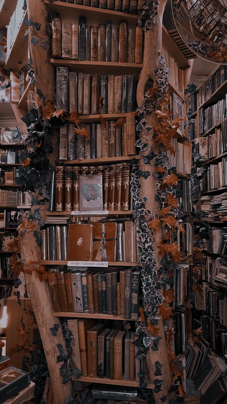 Bücherwand, Bücherstapel, Altbau, Warmes Licht, HD, Sperrbildschirm fürs iPhone