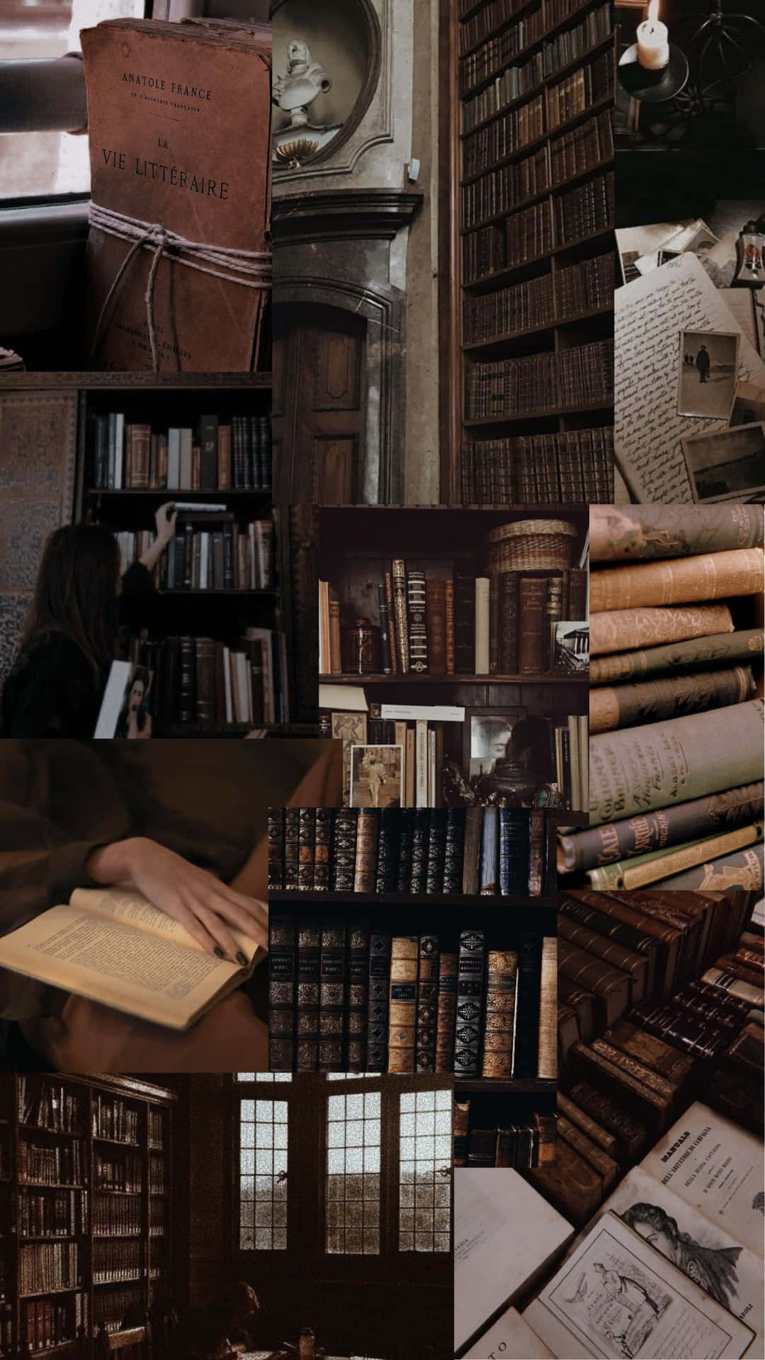 Bibliothek, Bücherregale, Collage, Dark Academia, Braune Töne, 1080x1920, Handy-Hintergrund