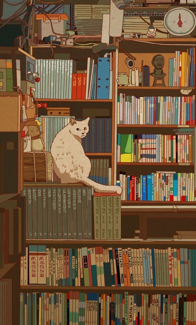 Katze, Bücherregal, Uhr, Gemütlich, HD, Hintergrundbild fürs Handy