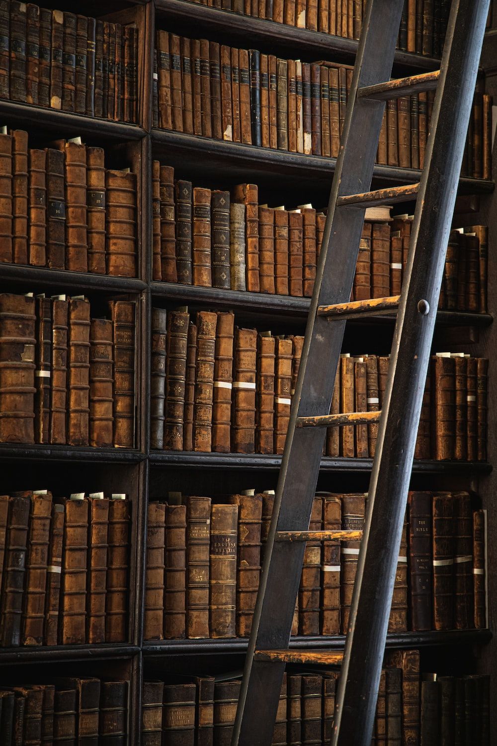 Leiter, Alte Bücher, Ledereinbände, Regal, Hintergrundbild für iPhone und Android