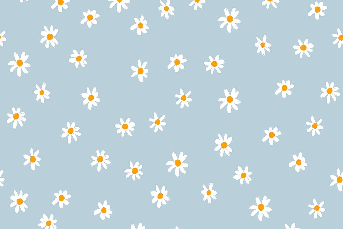 Gänseblümchen, Blumenmuster, Hellblauer Hintergrund, Muster, Wallpaper