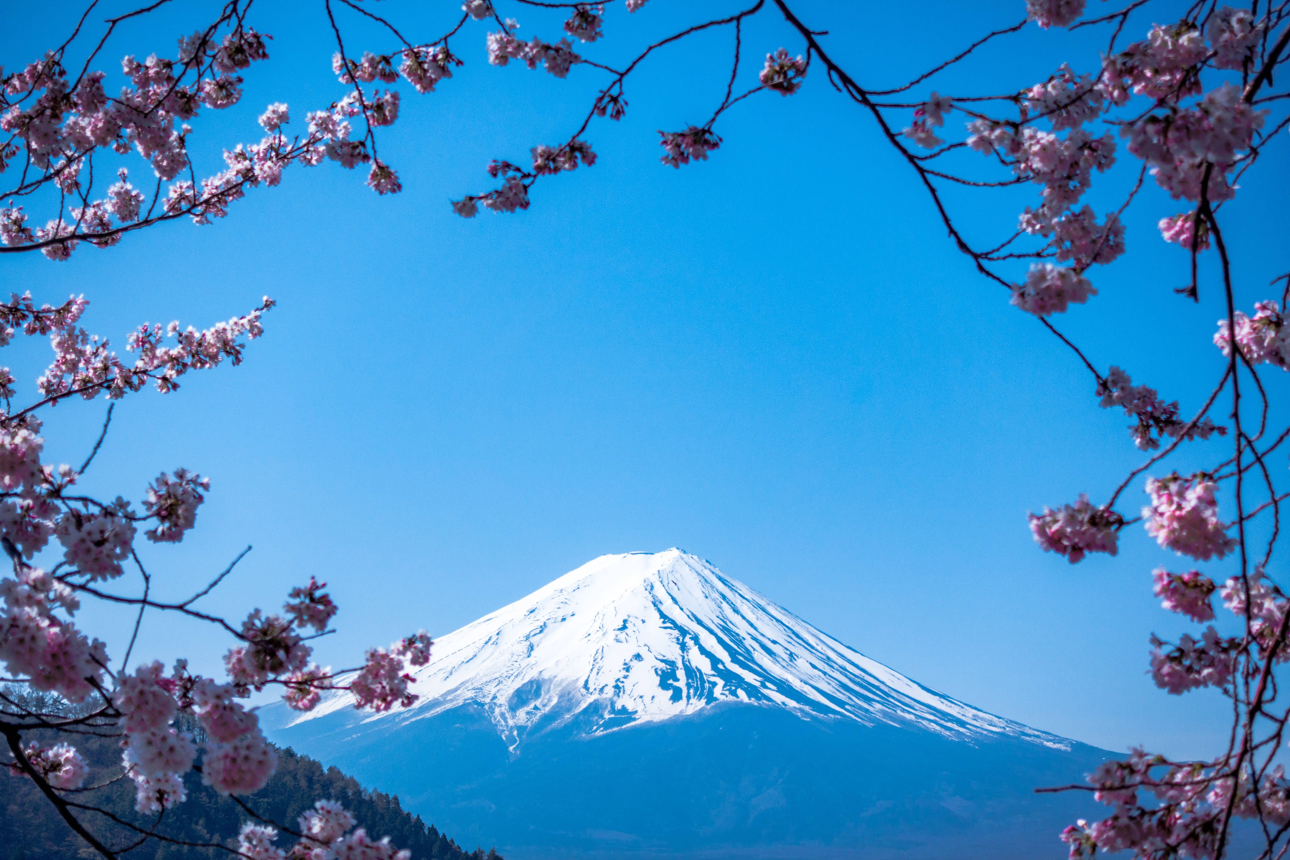 Fuji, Fujisan, Japan, Kirschblüte, Vulkan, Blauer Himmel, 5K-Hintergrundbild für PC