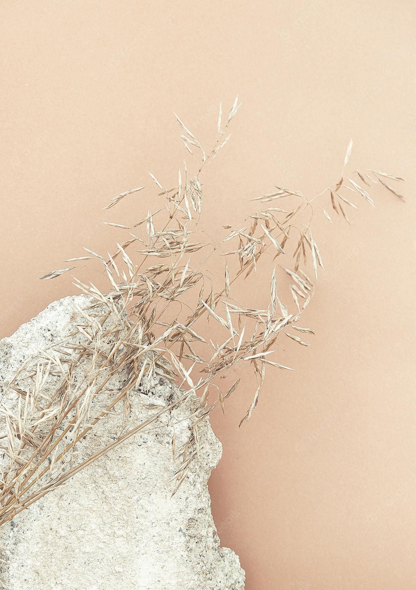 Felsen, Trockene Gräser, Pastell, Pfirsich Hintergrund, Minimalismus, Full HD Wallpaper