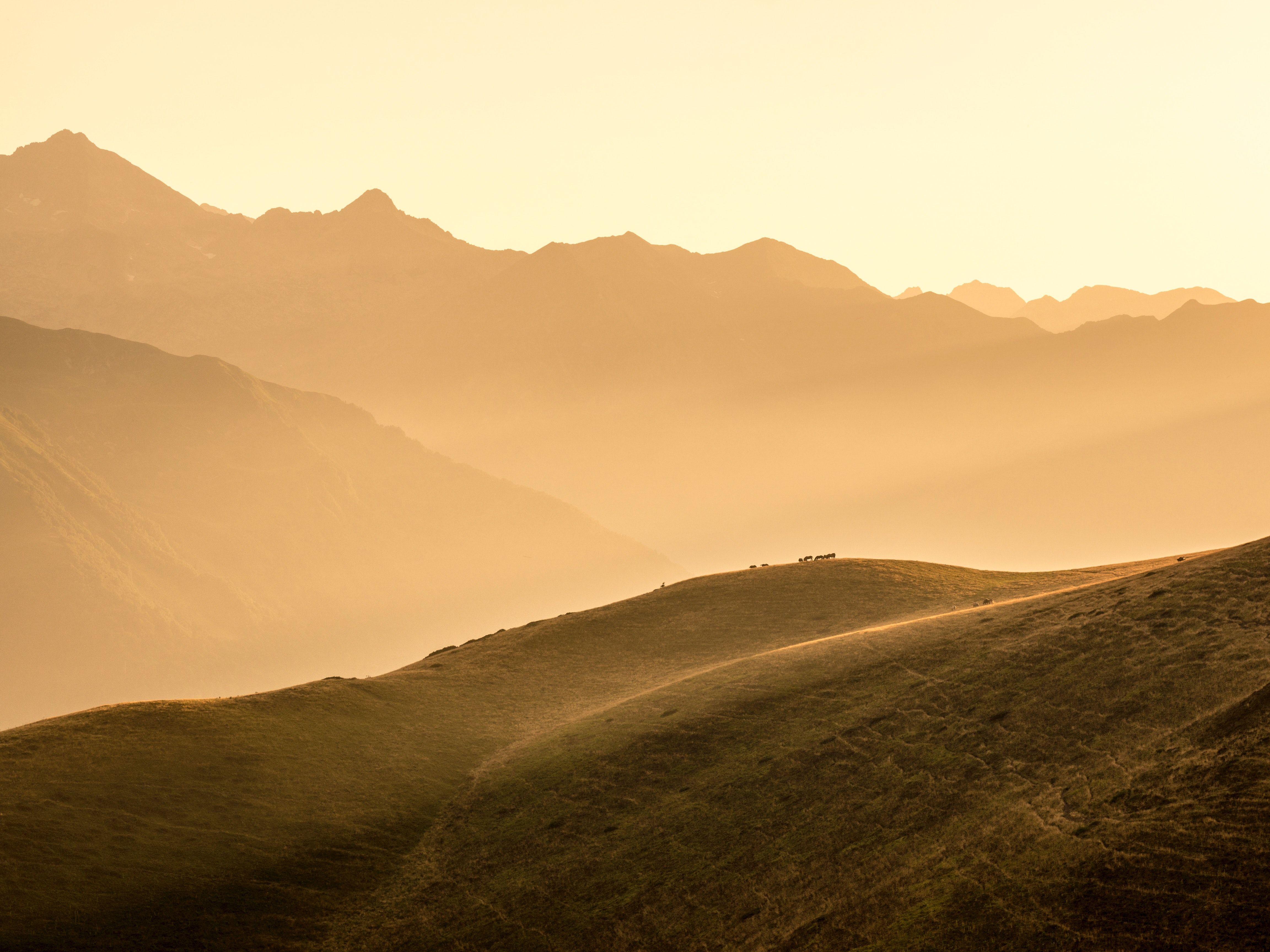 Hügel, Dunst, Goldenes Licht, Berge, Sonnenuntergang, 4K, iPad-Hintergrundbild