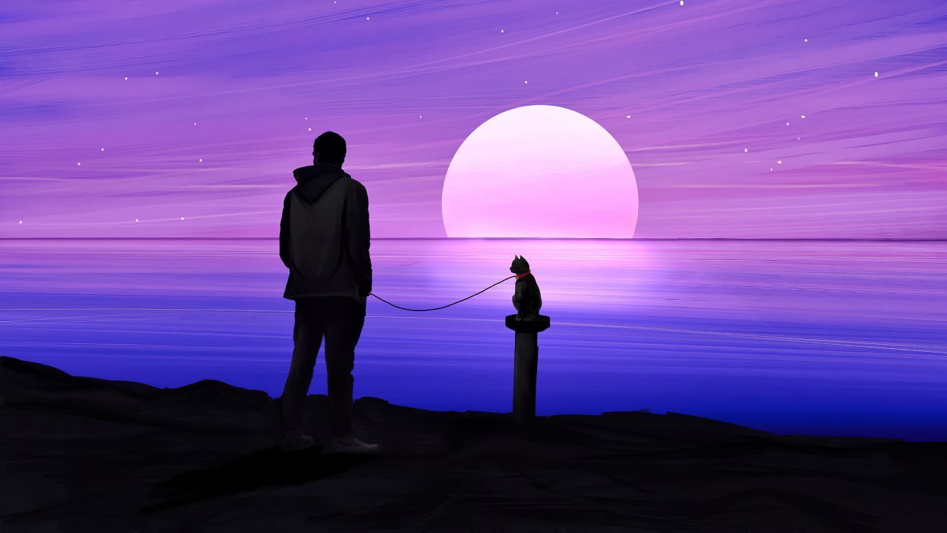 Silhouette, Mann, Katze, Mond, Illustration, Lila, HD, Hintergrund für den Desktop