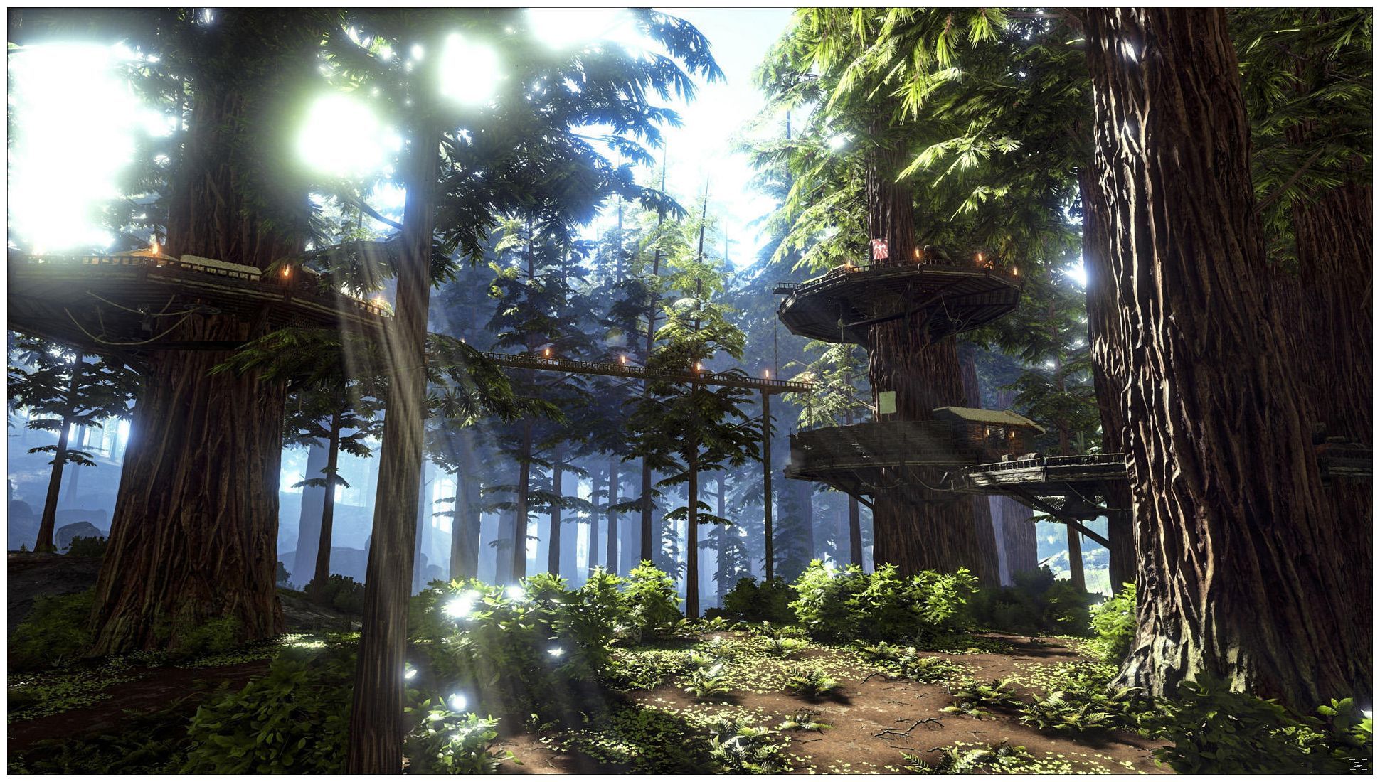 ARK: Survival Evolved, Mammutbäume, Baumhaus, Wald, Sonnenstrahlen, Full-HD-Hintergrundbild für PC