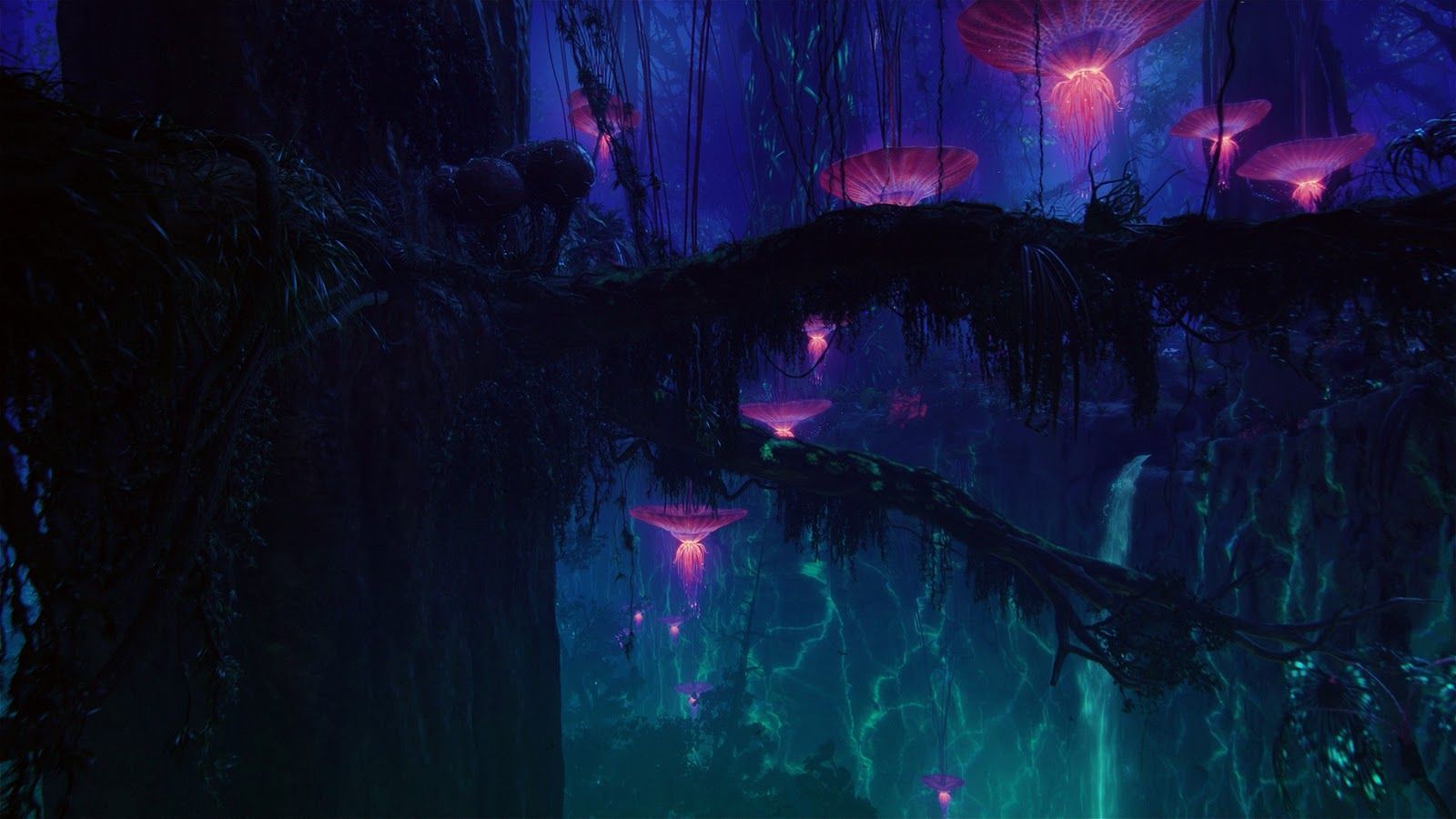 Pandora, Leuchtender Wald, Biolumineszenz, Nacht, Pink und Blau, HD, Laptop-Hintergrundbild
