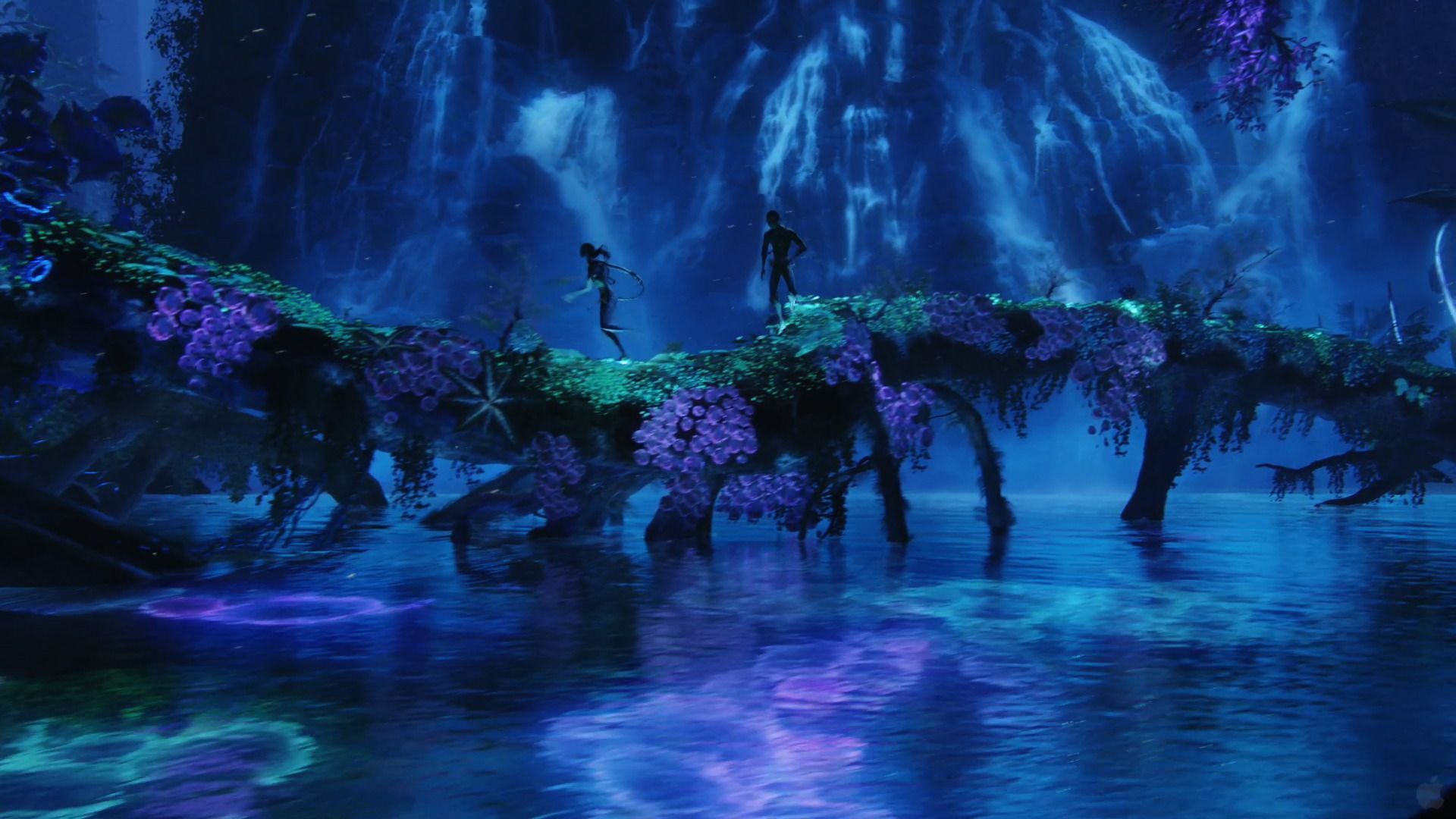 Pandora, Leuchtender Wald, Wasser, Nacht, Biolumineszenz, 1920x1080, PC-Hintergrundbild
