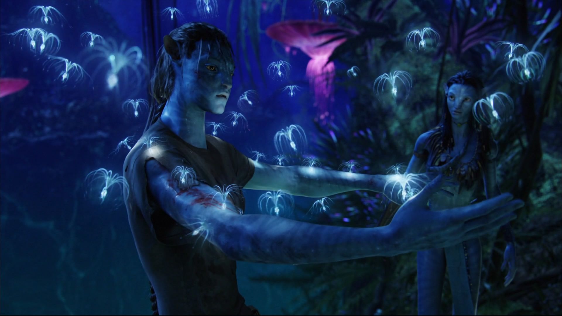 Jake Sully, Neytiri, Waldgeister, Leuchtender Wald, Nacht, Full HD, PC-Hintergrundbild