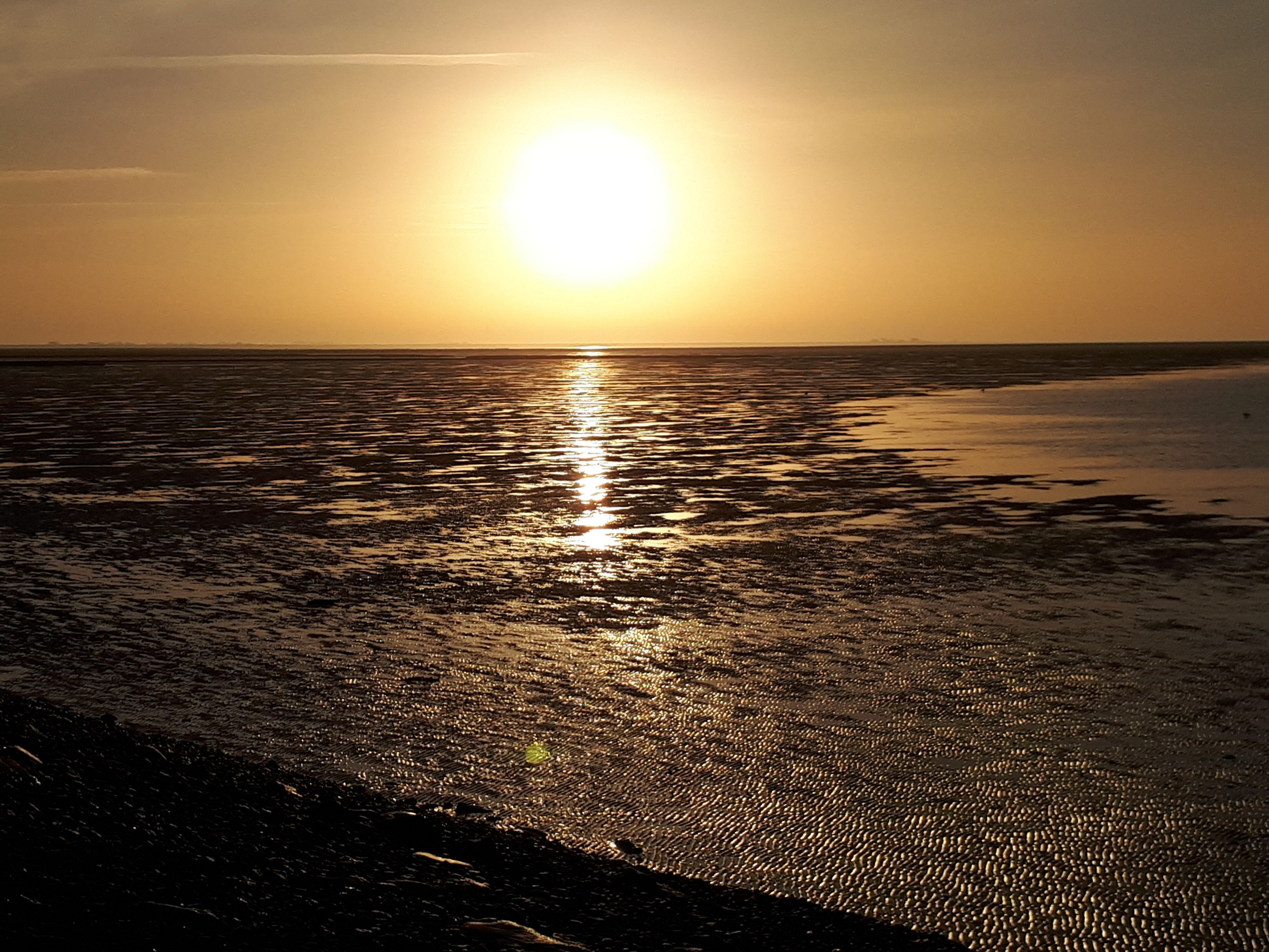 Sonnenuntergang, Watt, Meer, Strand, Gegenlicht, 4K, Hintergrundbild fürs Tablet