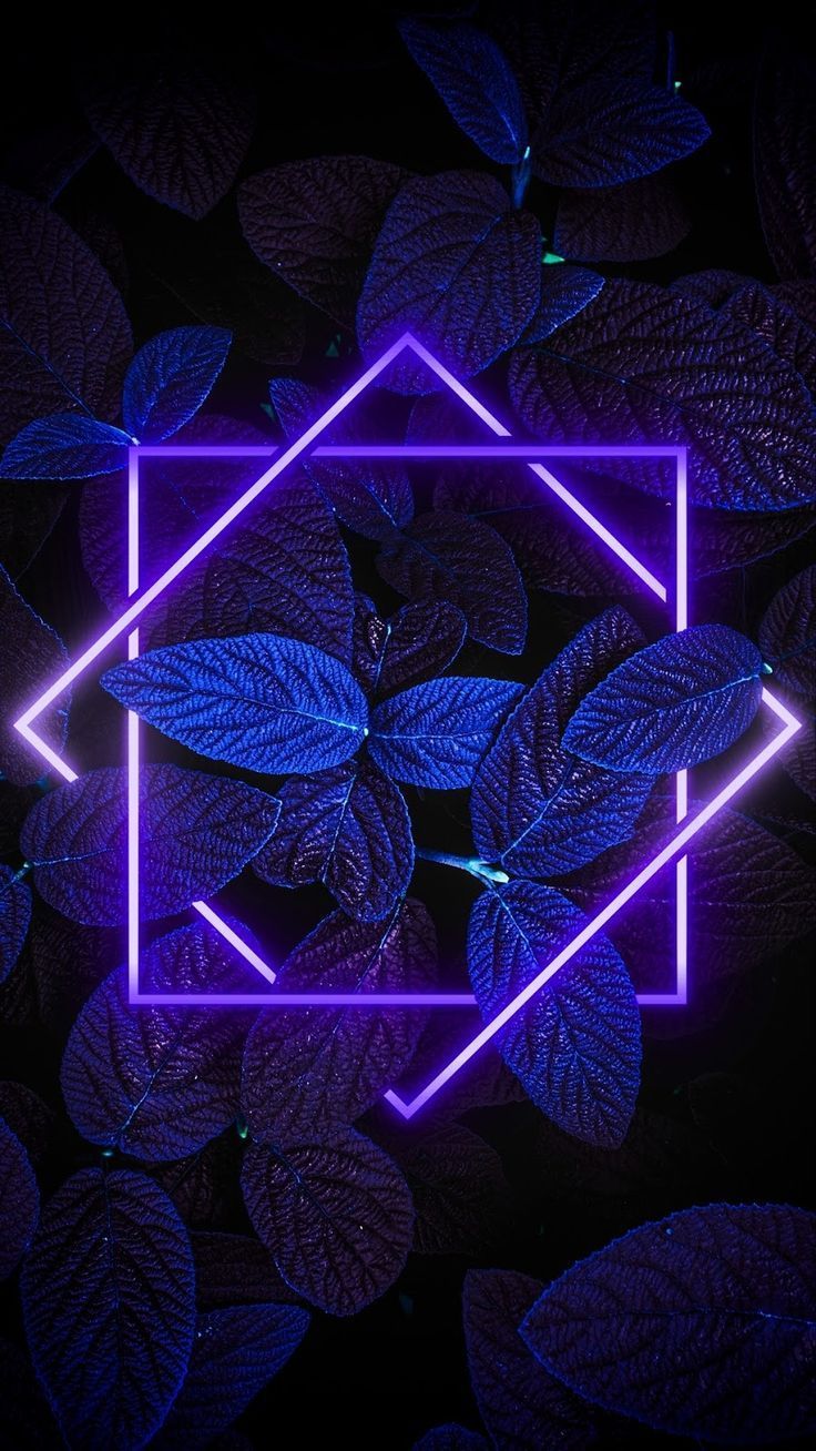 Blätter, Neon-Quadrat, Lila, Blau, Dunkel, HD, Hintergrundbild fürs Handy