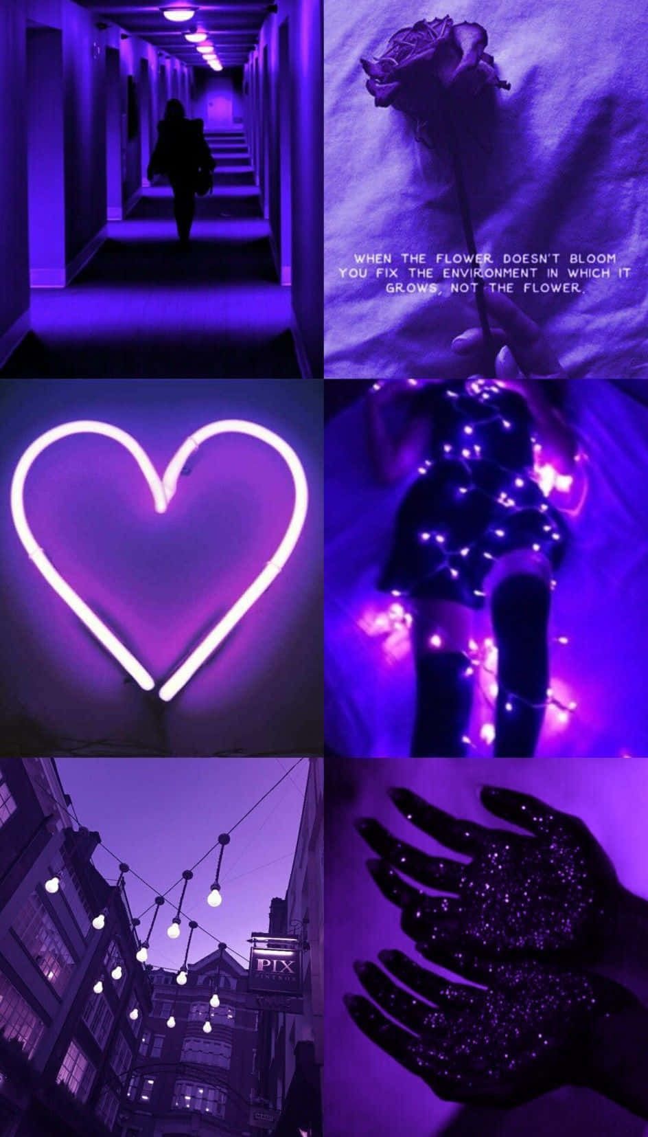 Collage, Lila, Herz, Ästhetik, Lichter, HD, Handy-Hintergrund im Hochformat