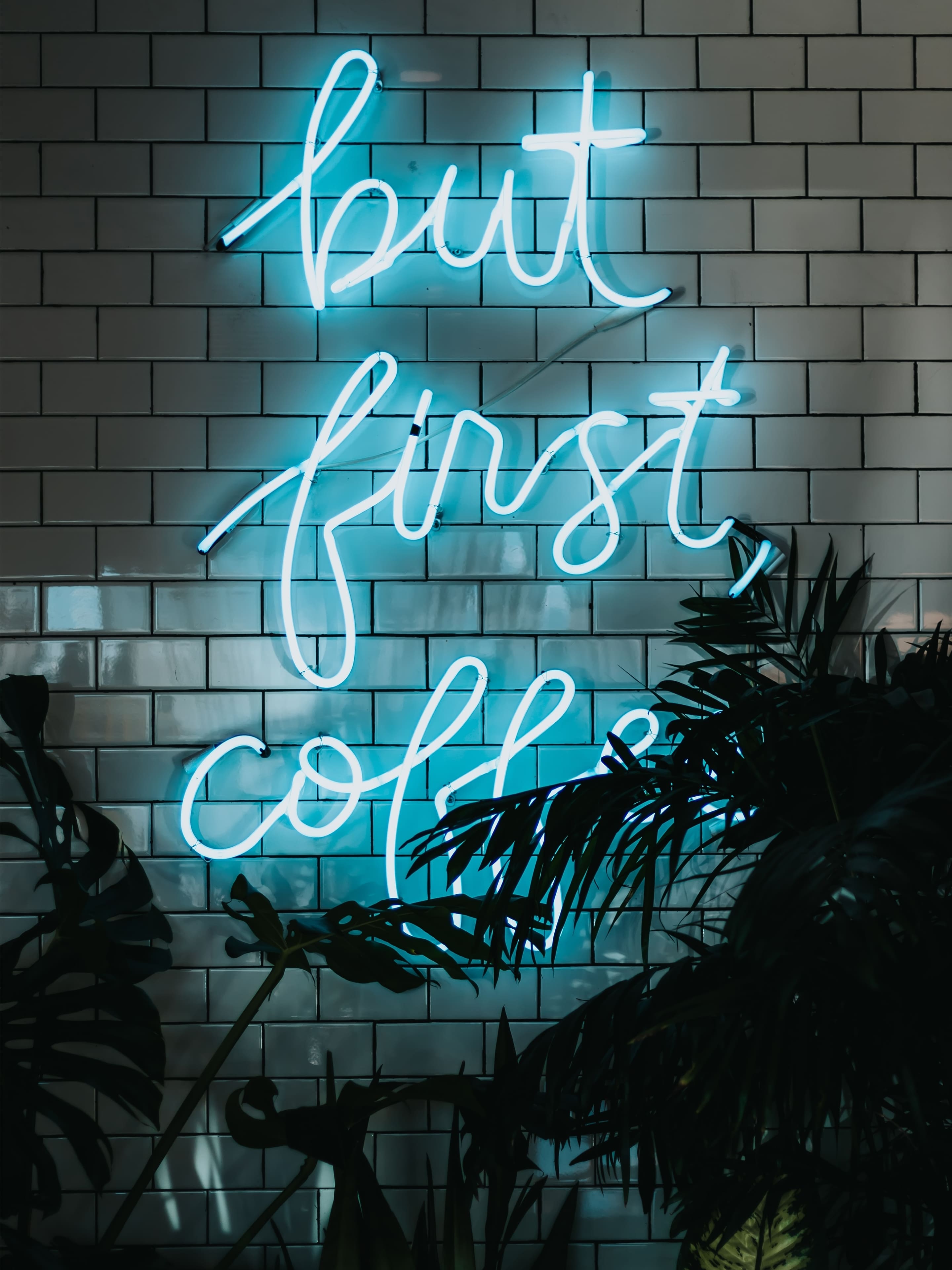 But first coffee, Leuchtschrift, Backsteinwand, Türkis, Pflanzen, QHD+, iPad-Hintergrundbild