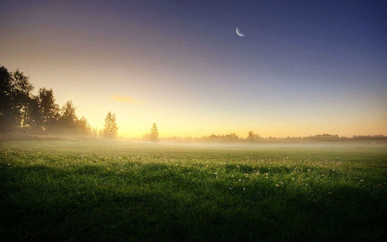 Wiese, Nebel, Sonnenaufgang, Mondsichel, Bäume, HD, Hintergrundbild für den PC
