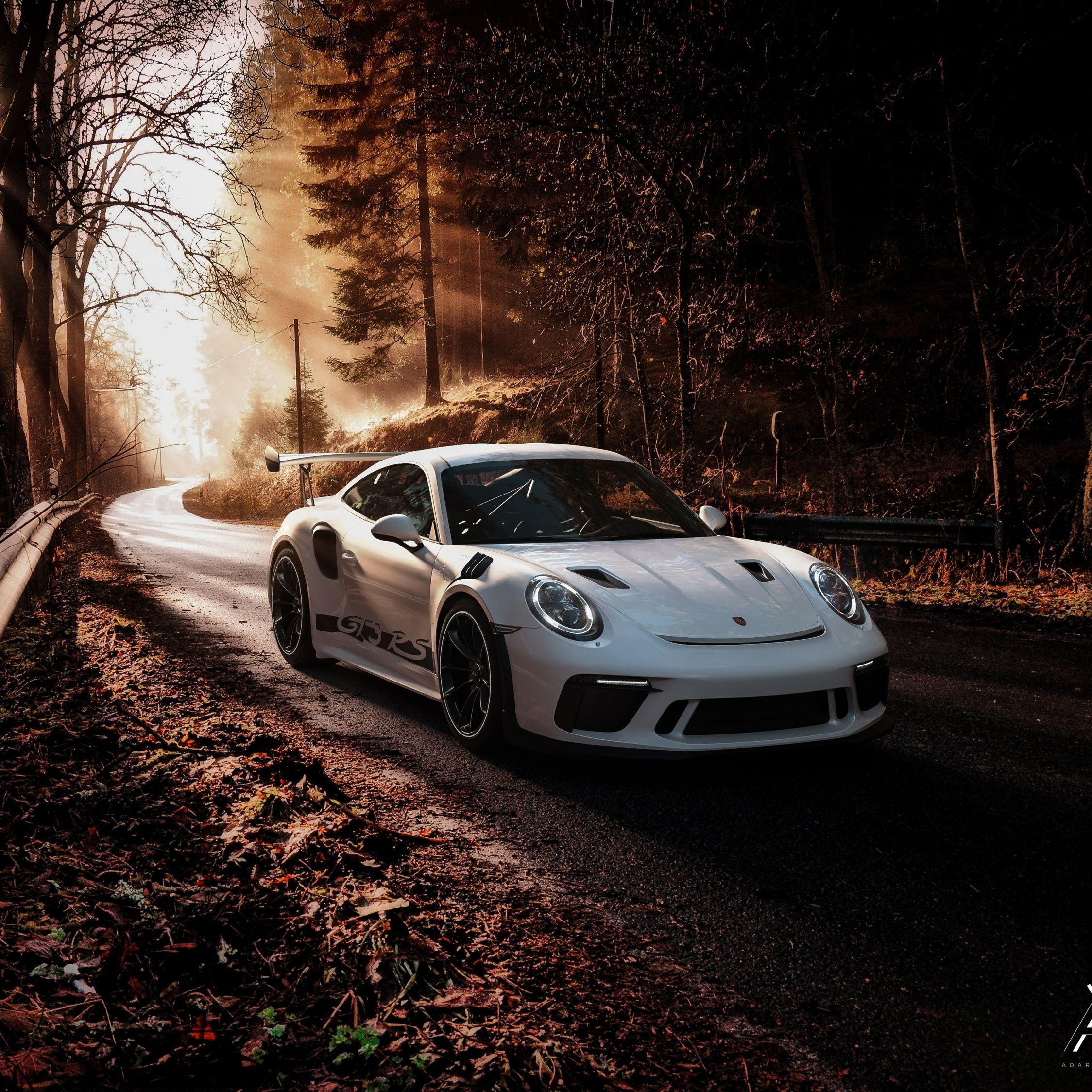 Porsche 911 GT3 RS, Weißer Sportwagen, Waldweg, Herbst, Sonnenstrahlen, Full HD, Tablet-Hintergrund