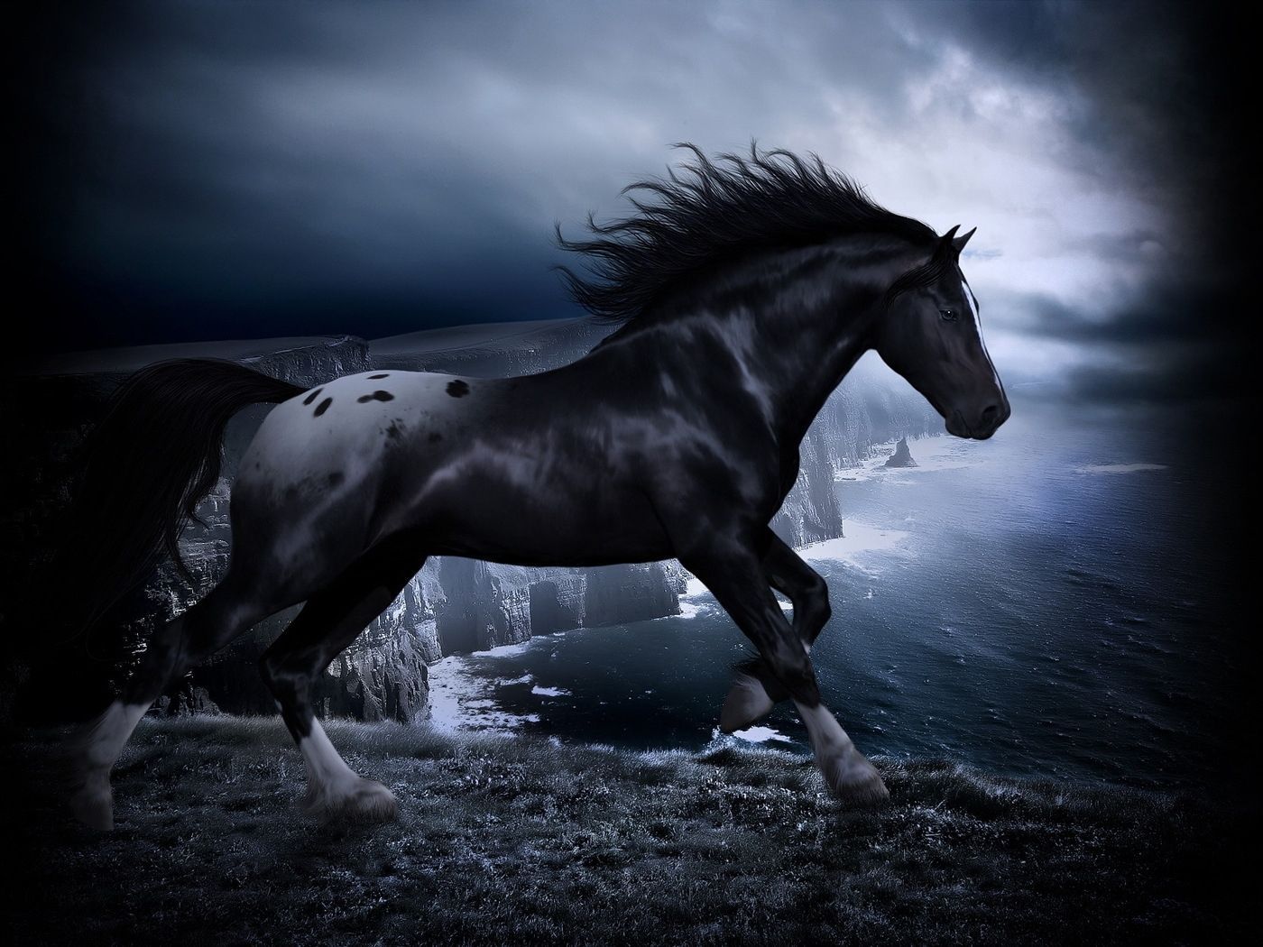 Rappe, Pferd, Galopp, Küste, Stürmischer Himmel, HD, iPad-Hintergrundbild