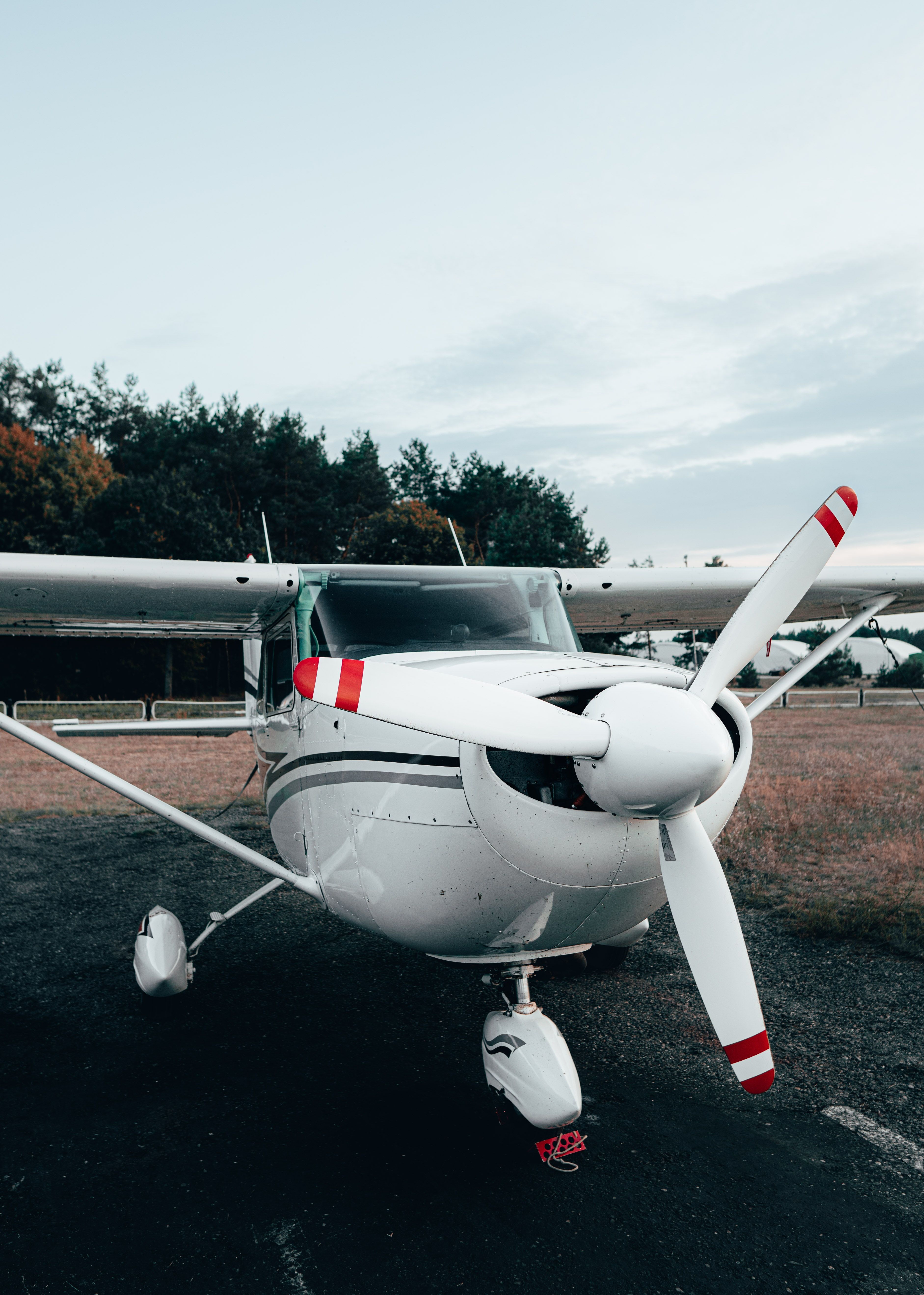 Cessna 172, Propeller, Wiese, Bewölkter Himmel, Hochformat, QHD+, iPad-Hintergrundbild