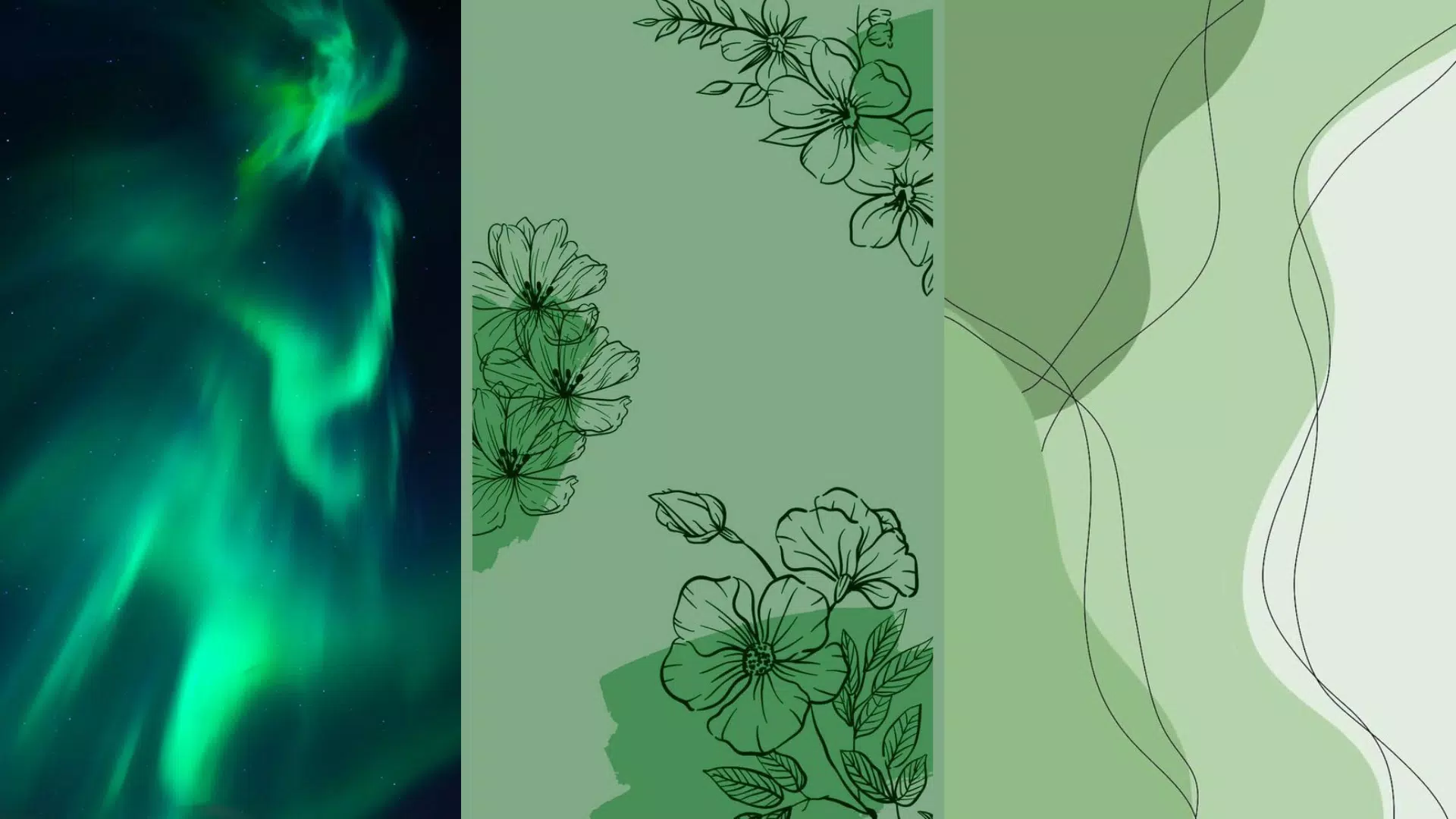 Polarlicht, Blumen, Linienkunst, Abstrakte Formen, Grüntöne, Full HD, Breitbild-Hintergrundbild