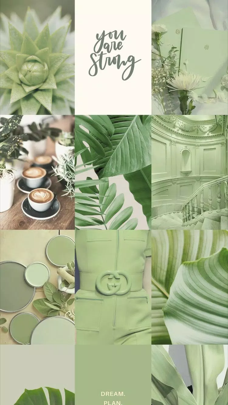 Collage, Sukkulenten, Gucci, Salbeigrün, Moodboard, HD, Handy-Hintergrund im Hochformat
