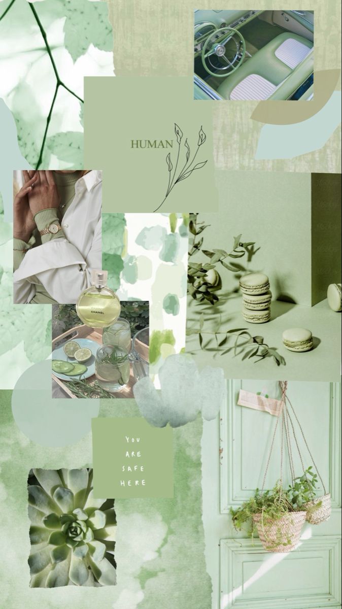 Collage, Salbeigrün, Moodboard, Pflanzen, Hellgrün, Hintergrundbild für iPhone und Android